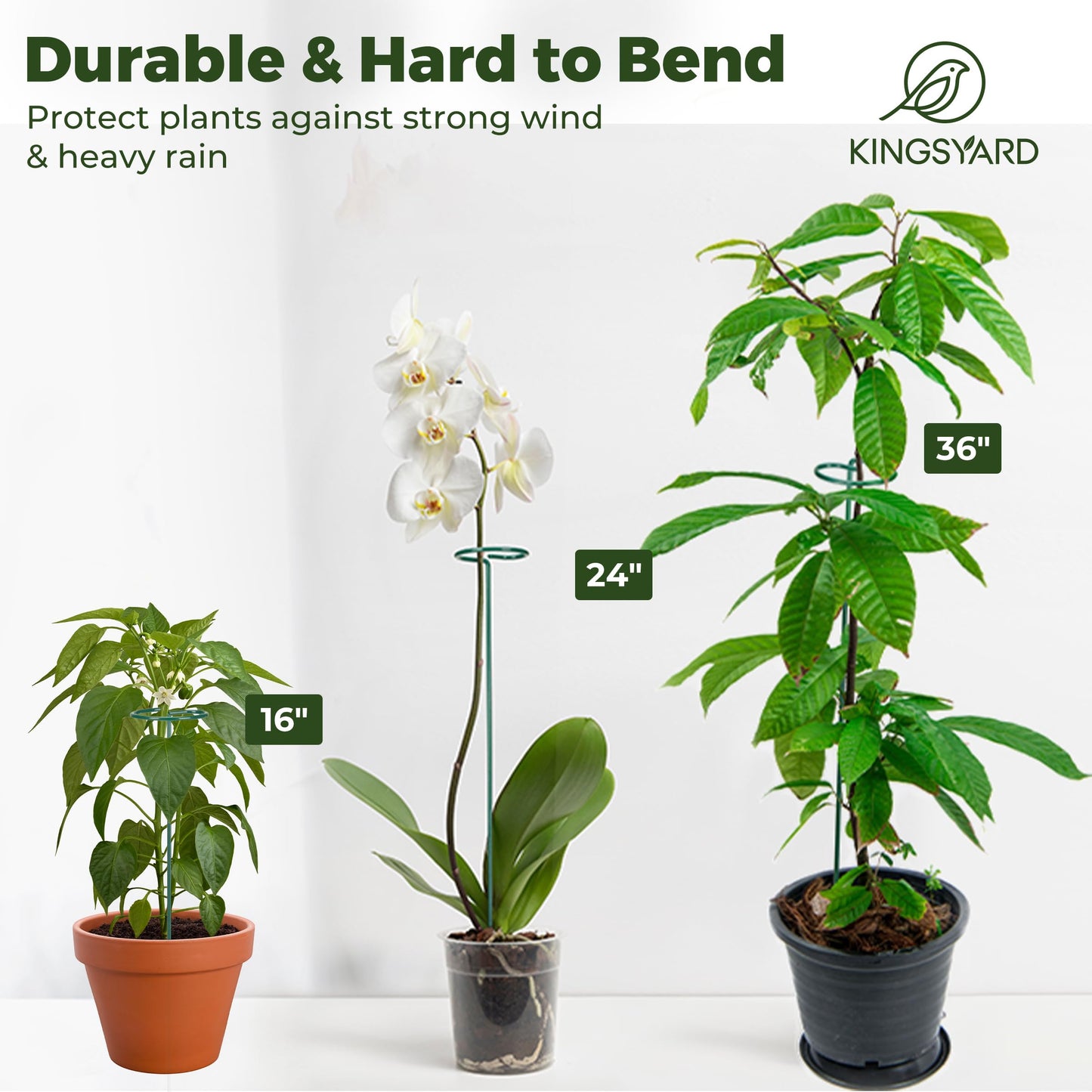 Kingsyard 36 Inch Plant Support Stake - 20 Pack, 4.5mm Thick All Metal Garden Plant Stakes Plant Prop for Single Stem Flowers Dahlia Lily Rose Peony Hydrangea Tomatoes Sunflower Gladiolus
