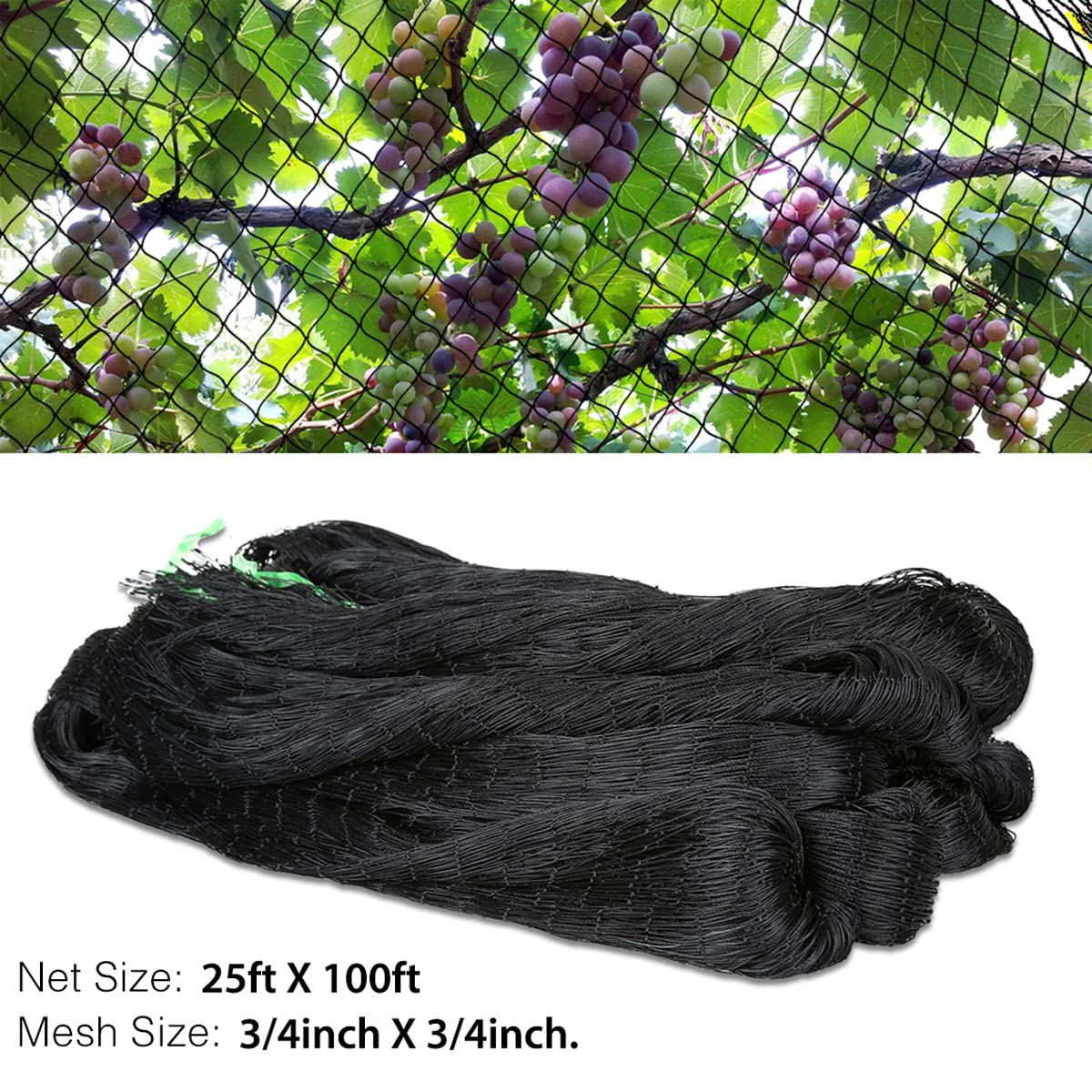 OGORI 25' x 100' Bird Netting Heavy Duty Nylon 3/4" Mesh Garden Netting Protect Fruit Trees, Plants and Vegetables