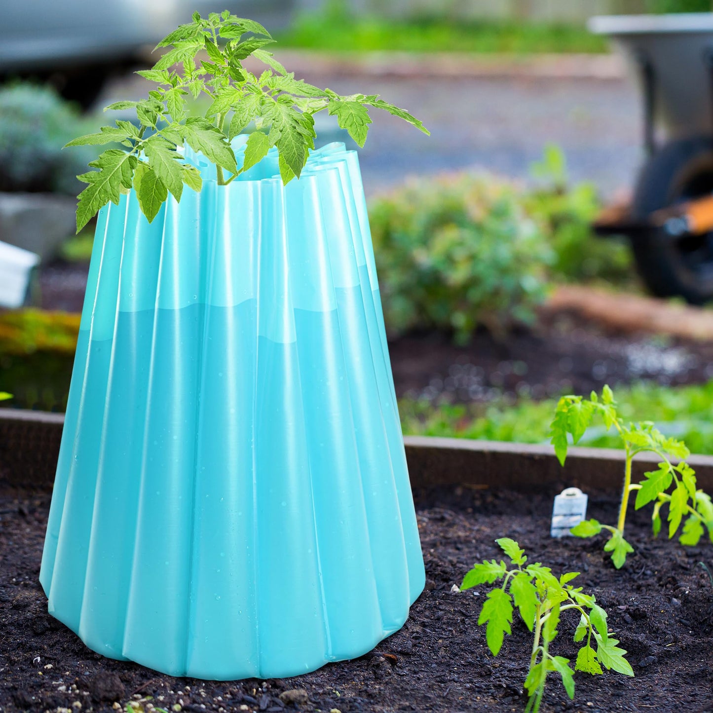 Adnee 10 Pack Water Filled Plant Protectors-19 x 17 Inch Reusable Wall of Water Plant Covers for Tomato Plants-Blue Early Season Insulating Plant Protective Cover for Outdoor Winter Freeze Protection