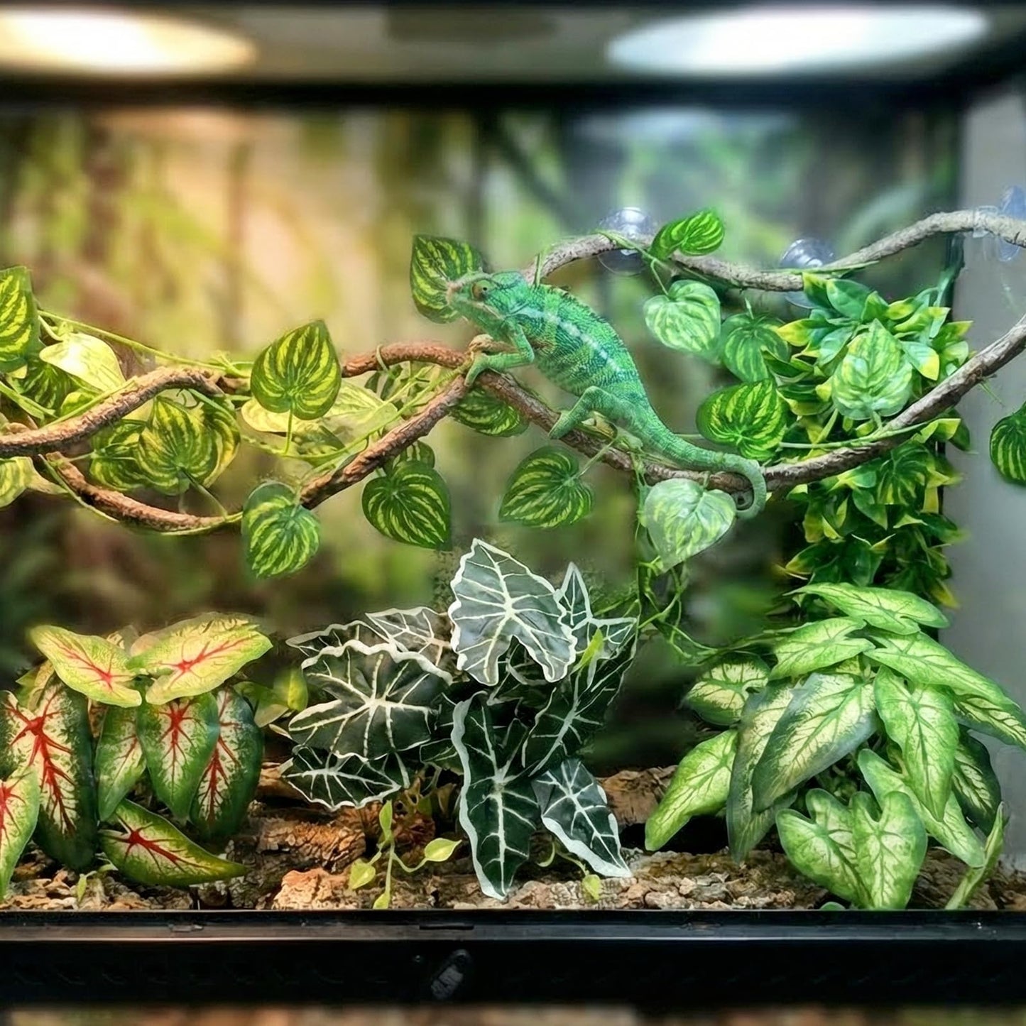 5 Pcs Reptile Plants & Habitat Decor Kit - 3 Artificial Plants & Large 3.3ft Jungle Vine Branch, TTerrarium Hanging Plants Vines for Crested Gecko, Leopard,Bearded Dragon, Lizard,Chameleon,Ball Python