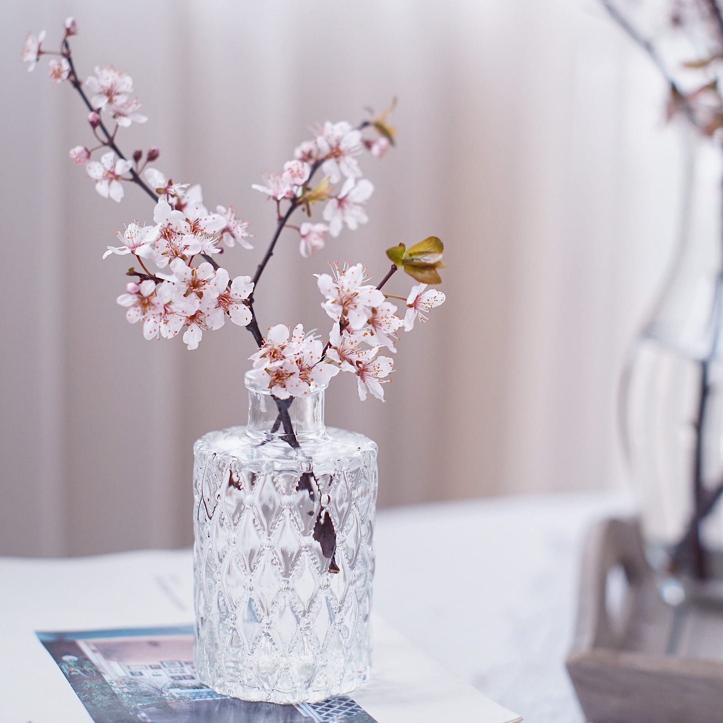 Mini Clear Glass Vase,Small Flower Bud Vase Hydroponics Planter Decorative for Flower,Table,Party,Home,Centerpieces(Clear 6)