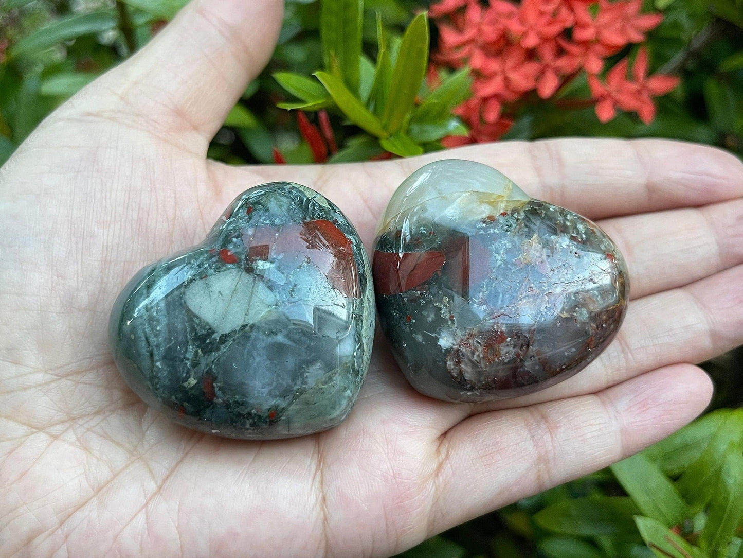 GAF TREASURES Bloodstone Gemstone Hearts, Polished Bloodstone Puffy Hearts, Bloodstone Crystal Palm Stone, Bloodstone Healing Crystal Hearts (1 Heart)