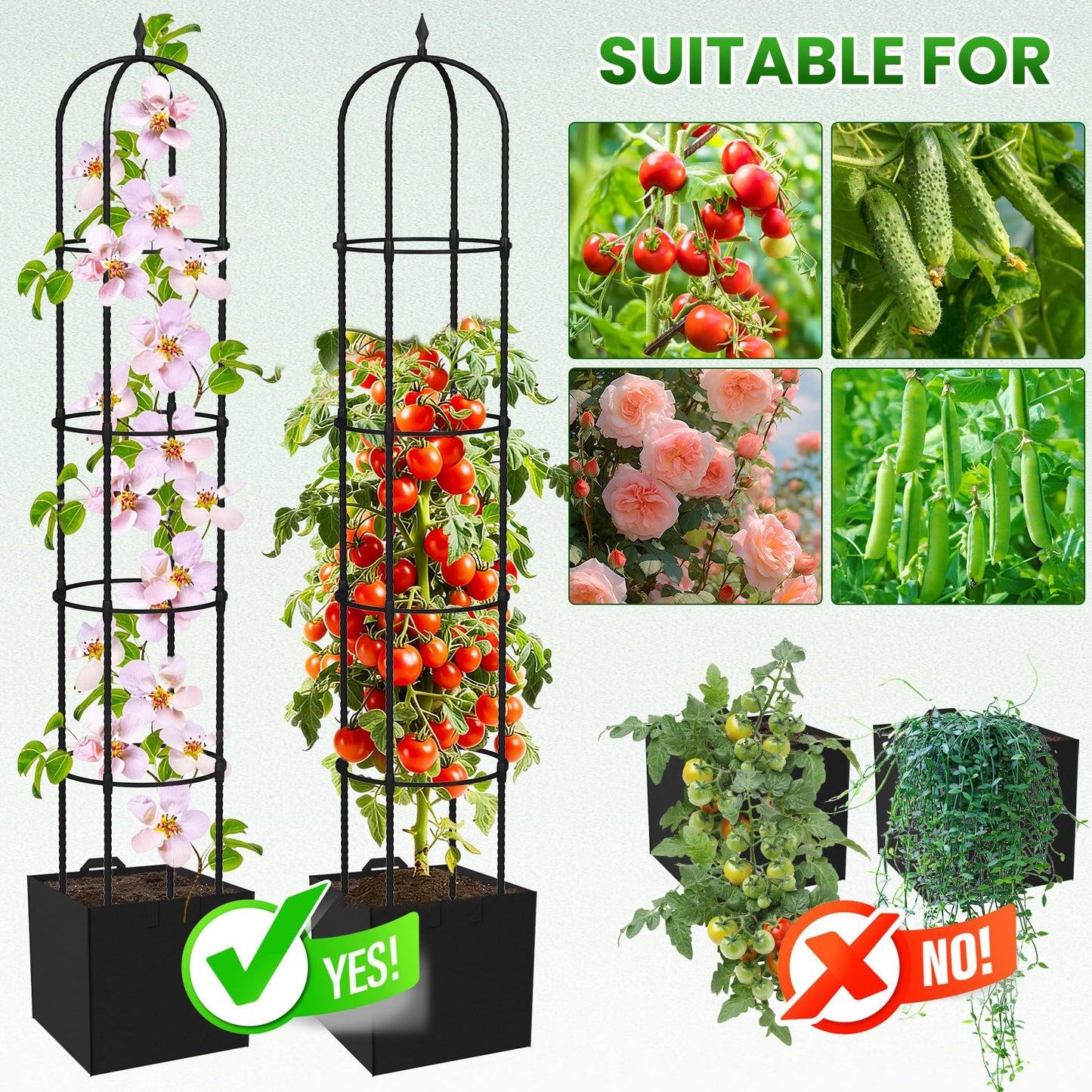 Garden Obelisk Trellis for Climbing Plants - 76" Tall Weather-Resistant Rustproof Metal Plant Flower Support for Roses, Clematis, Tomatoes & Vines, Indoor/Outdoor Use, 12”D (2 Pack)