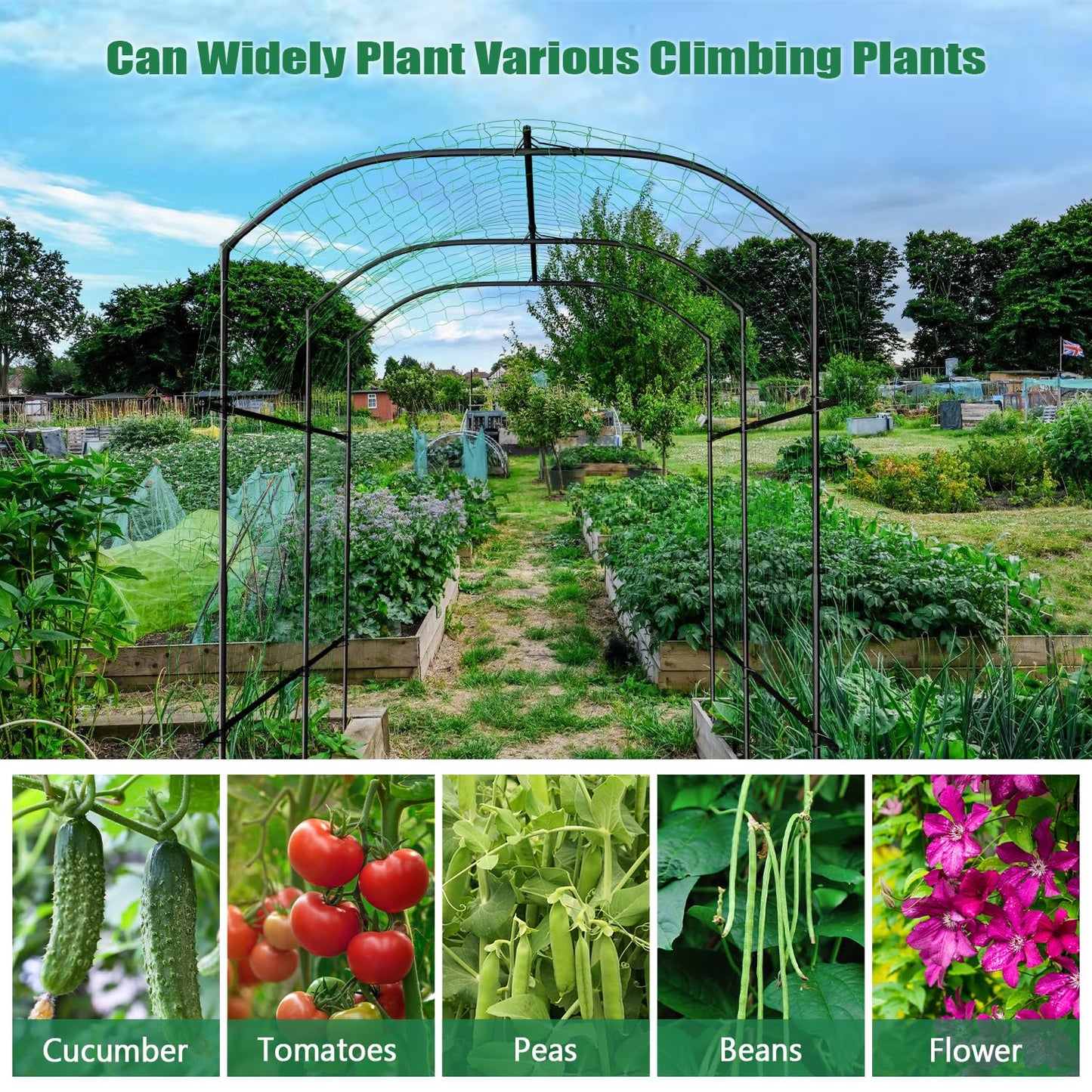 SUNYRISY Garden Arch Trellis for Climbing Plants Outdoor Gardening, 87" H x 70" L x 75" W Metal Core Tall Plant Support for Raised Bed Planting Cucumber Tomato Flowers Vegetables
