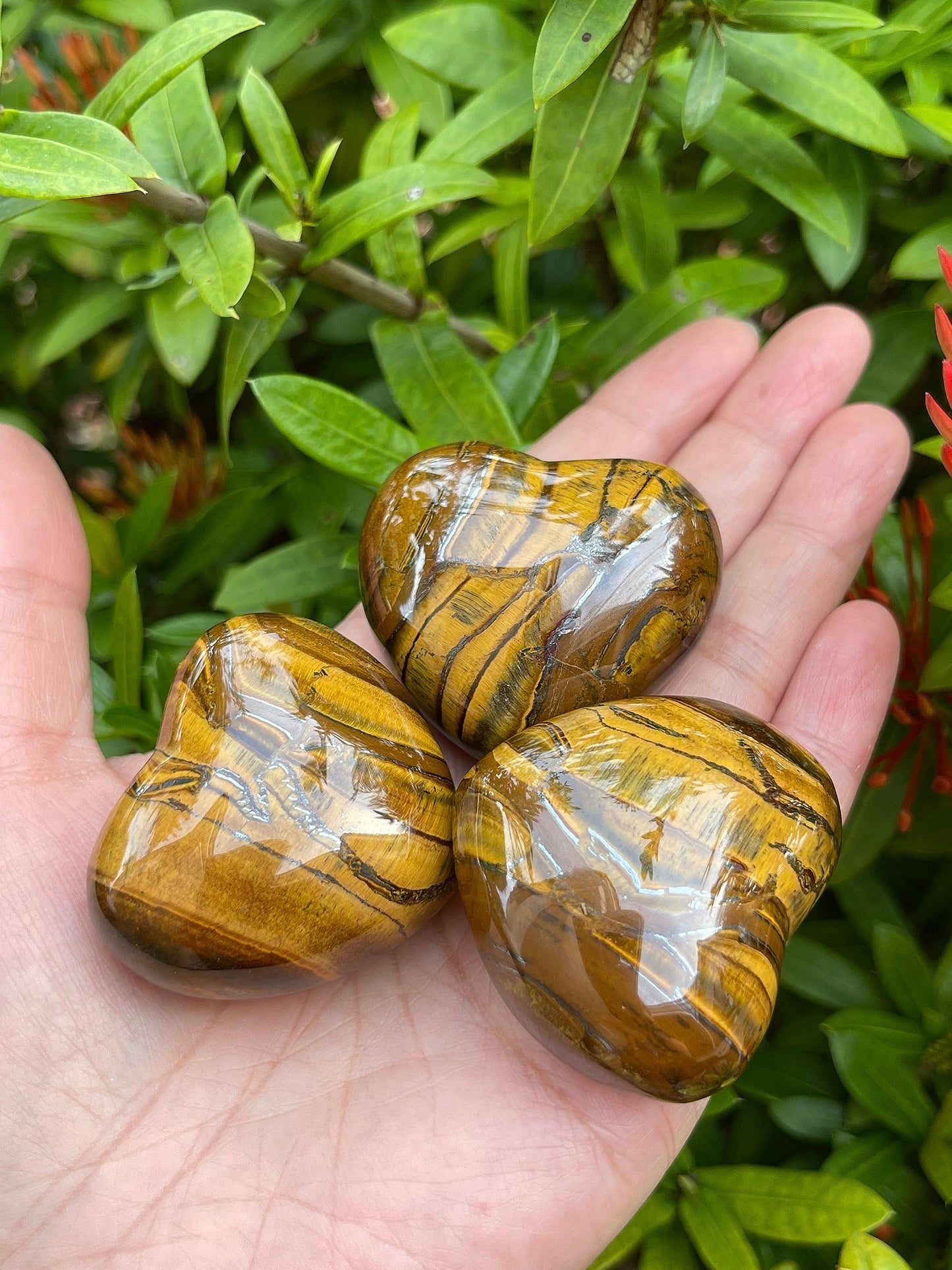 Tiger Eye Gemstone Hearts, Polished Tiger Eye Puffy Hearts, Tiger Eye Crystal Palm Stone, Tiger Eye Healing Crystal Hearts (1 Heart)