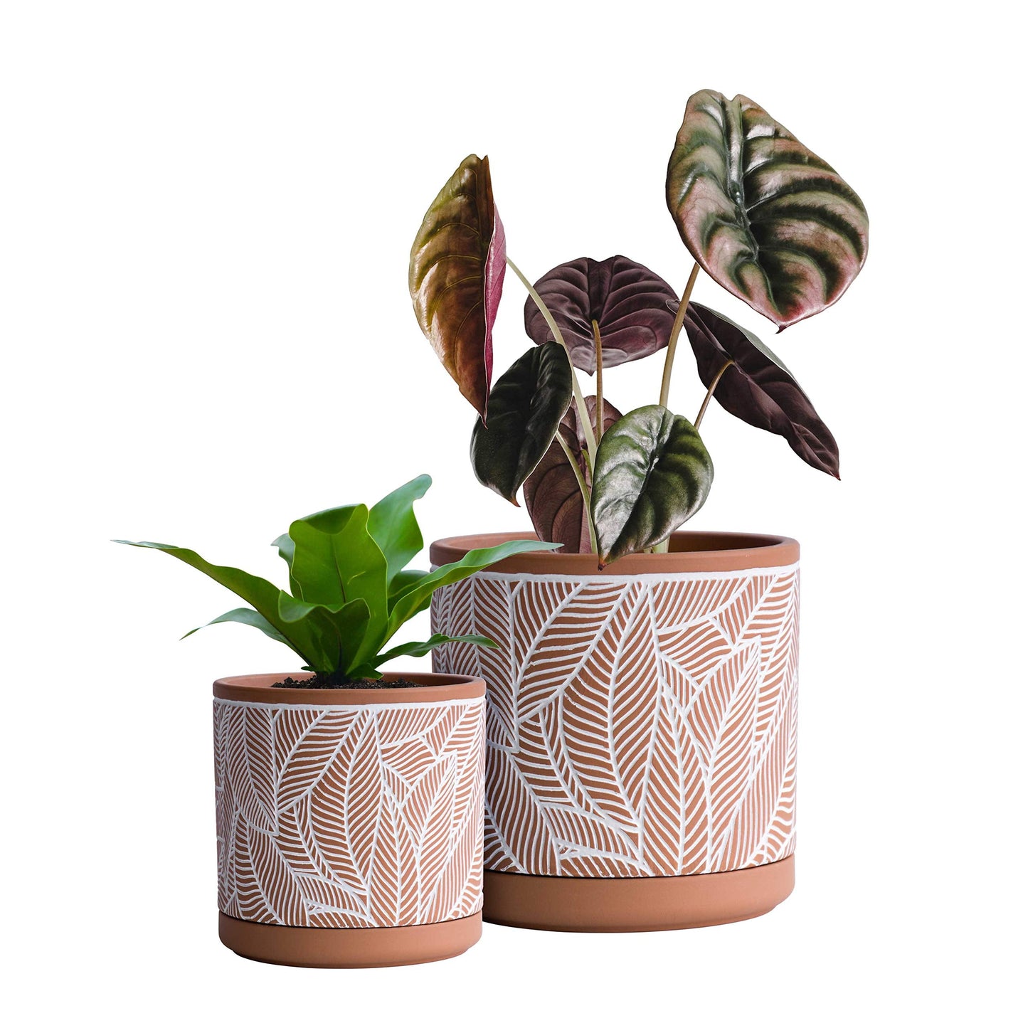D'vine Dev Set of 2 Terracotta Pots, Leaves Pattern Planter Pot, 4 Inch and 6 Inch, Pot with Drainage Hole and Saucer, Terracotta/White, 31-958-I-1