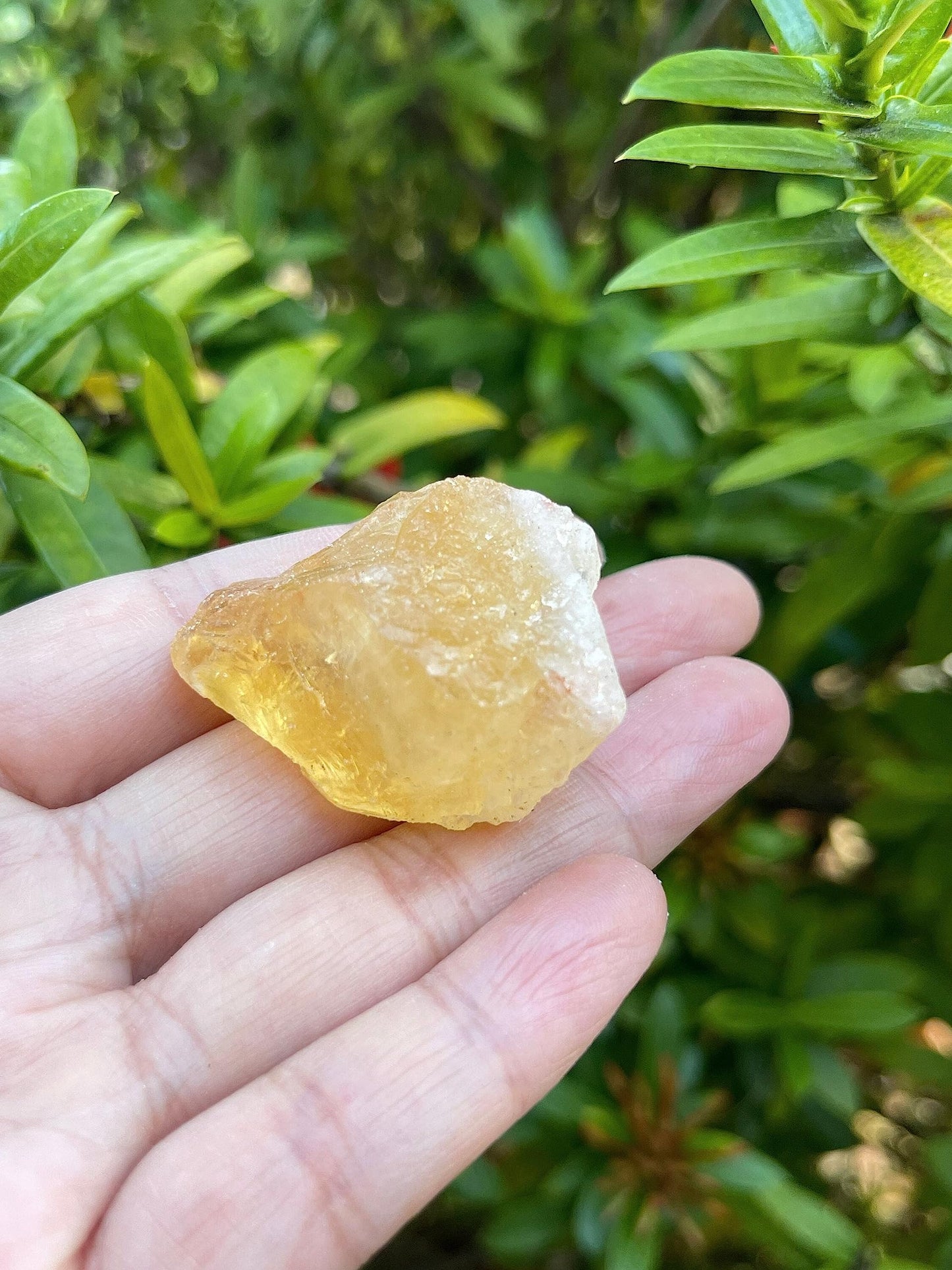GAF TREASURES Wholesale Raw Citrine Crystals, Natural Citrine Stone, Natural Rough Citrine Crystals, Citrine Rough, Citrine Healing Crystals (Citrine, 0.25 Pound)