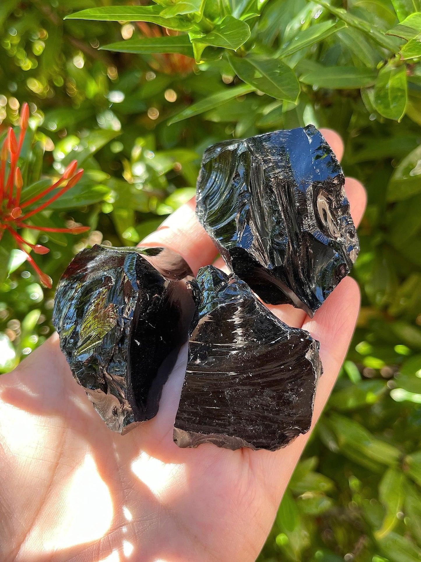 WHOLESALE Raw Black Obsidian Crystals, Natural Black Obsidian Stone, Natural Rough Black Obsidian crystals, Black Obsidian Rough, Black Obsidian Healing Crystals (Black Obsidian, 0.5 Pound)