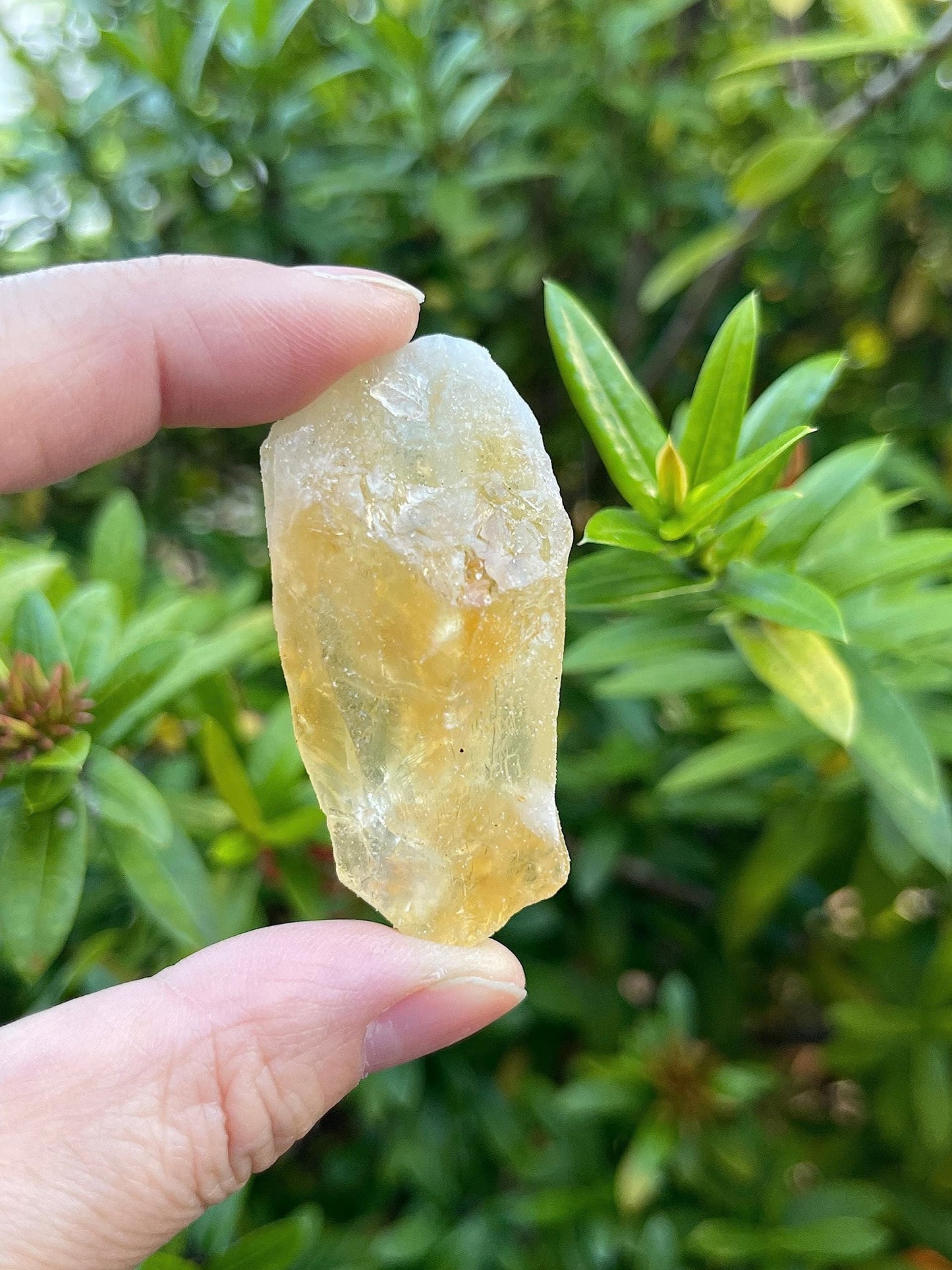 GAF TREASURES Wholesale Raw Citrine Crystals, Natural Citrine Stone, Natural Rough Citrine Crystals, Citrine Rough, Citrine Healing Crystals (Citrine, 0.25 Pound)