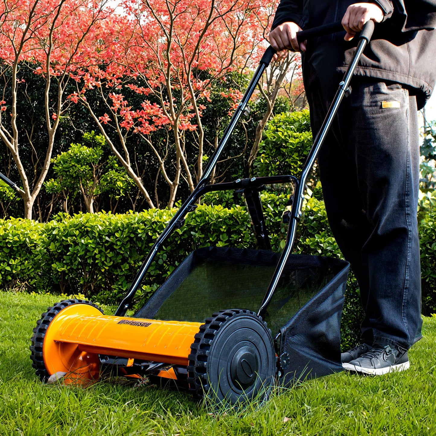 Walensee 16-Inch 5-Blade Push Reel Lawn Mower, Cordless Manual Reel Lawn Mower Walk-Behind Steel Lawn Mowers with Removable 7.9-Gallon Grass Catcher, Sponge Grip, 4-Position Cutting Height Adjustment