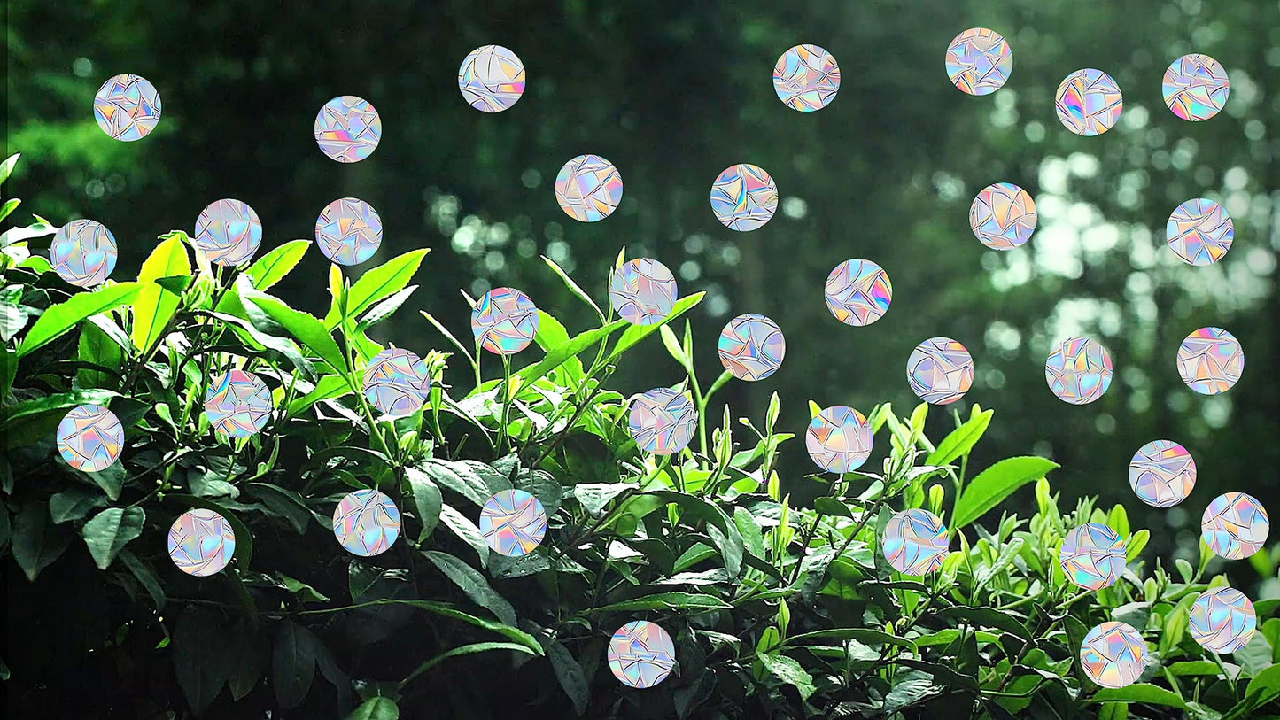 81 Pieces Circle Window Decals for Bird Strikes - Anti-Collision Clings to Save Birds,Non Adhesive Vinyl Rainbow Suncatch Stickers, Easy Remove No Residue and Reusable
