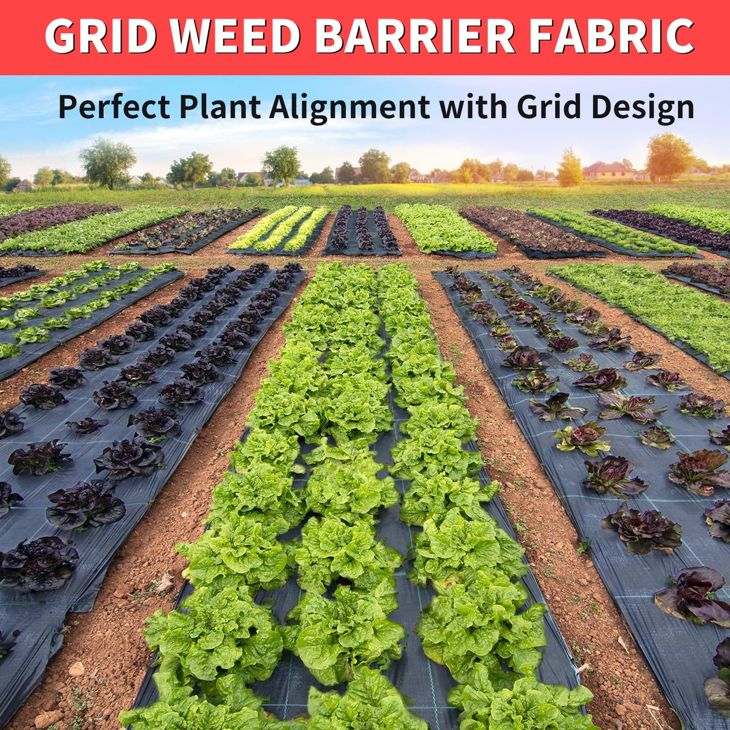 Vanver 4ft x 300ft Landscape Fabric -Heavy Duty Weed Barrier Fabric for Landscaping, Weed Blocker Cloth,Geotextile Fabric for Garden, Driveway & Ground Cover, Garden Weed Mats,Grid Design