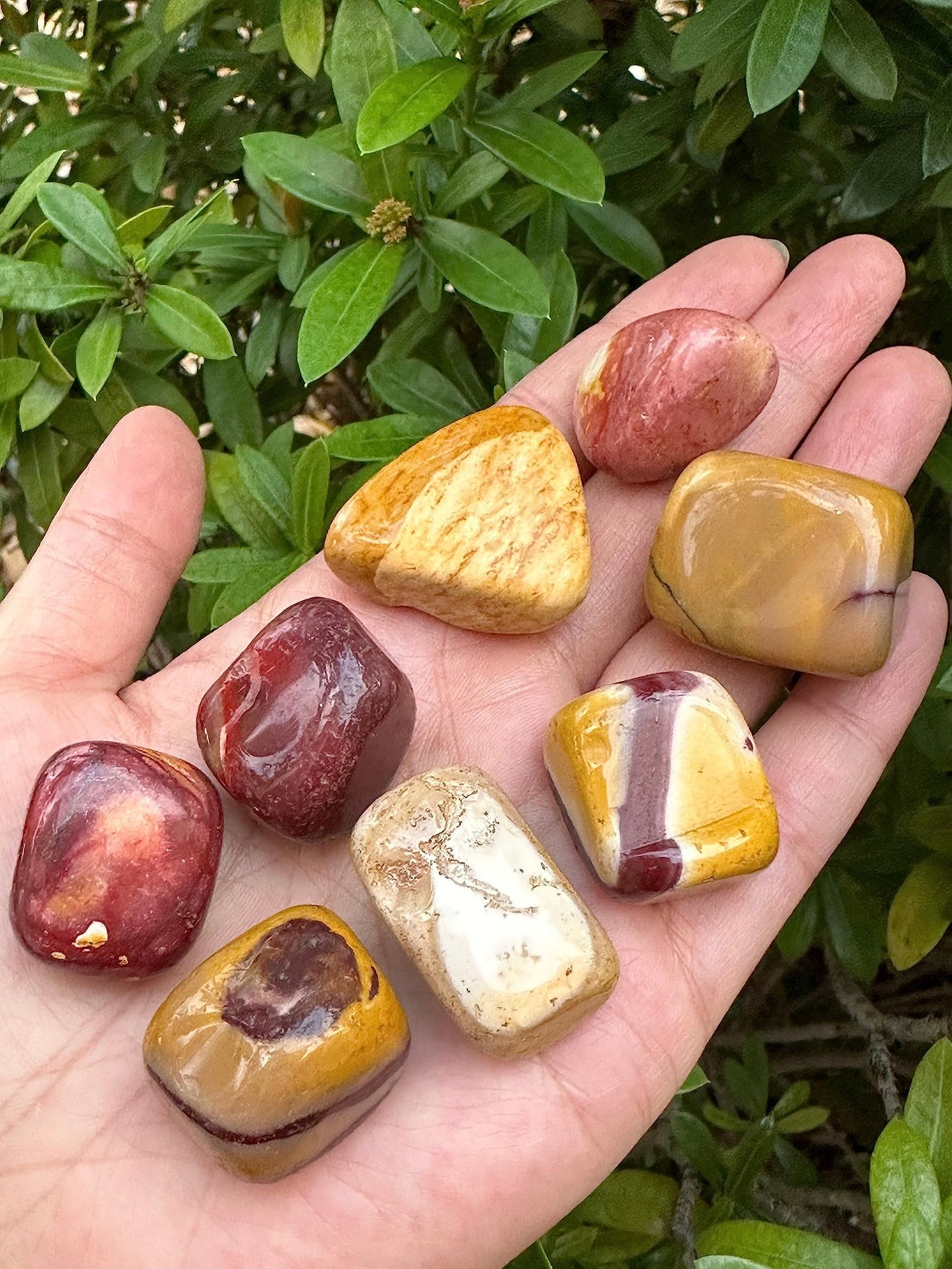 GAF TREASURES 5 Pcs Mookaite Tumbled Stones, Polished Mookaite Gemstone, Mookaite Healing Crystals (Mookaite)