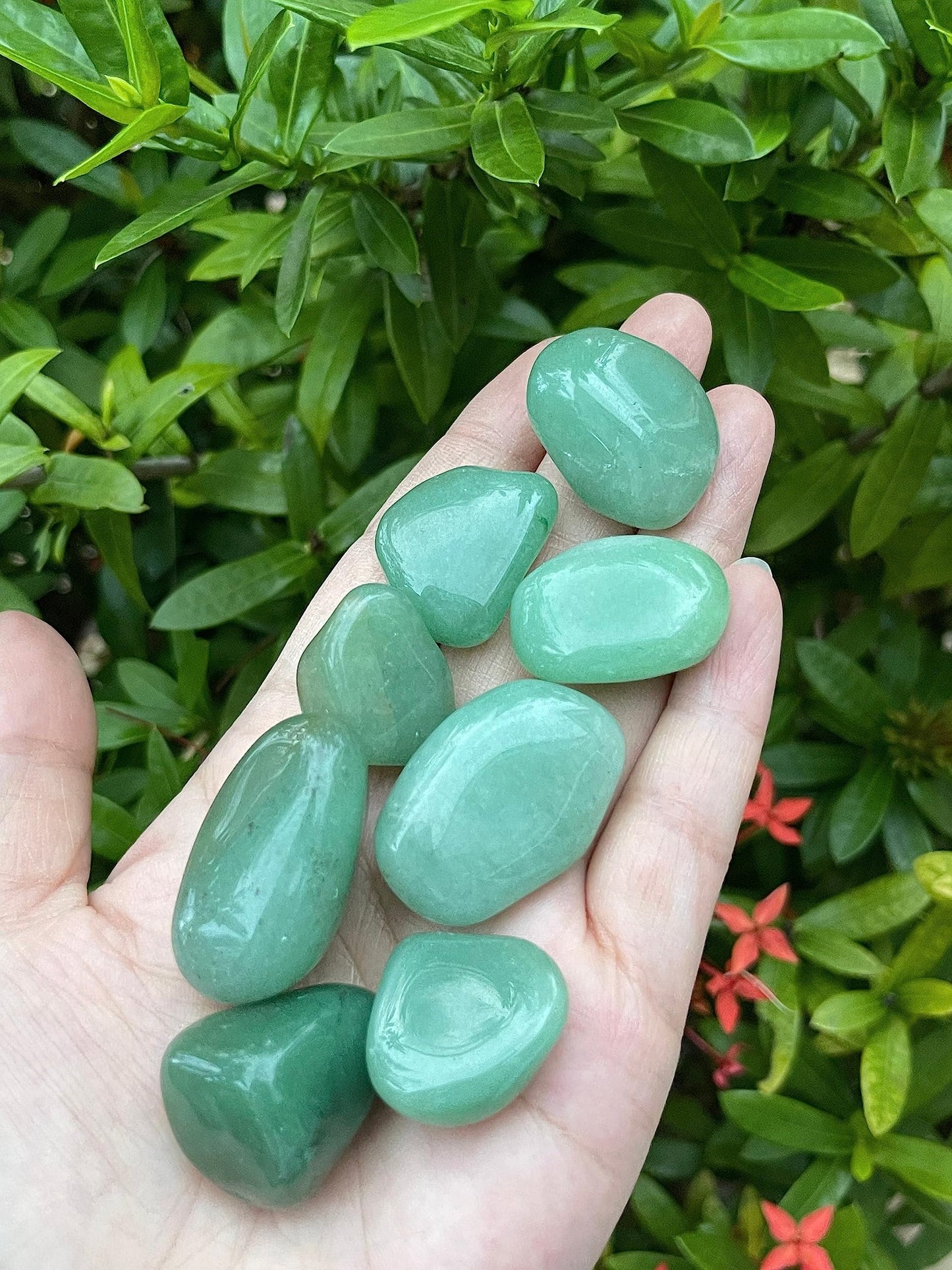 GAF TREASURES 5 Pcs Green Aventurine Tumbled Stones, Polished Natural Green Aventurine Gemstone, Green Aventurine Healing Crystals (Green Aventurine)