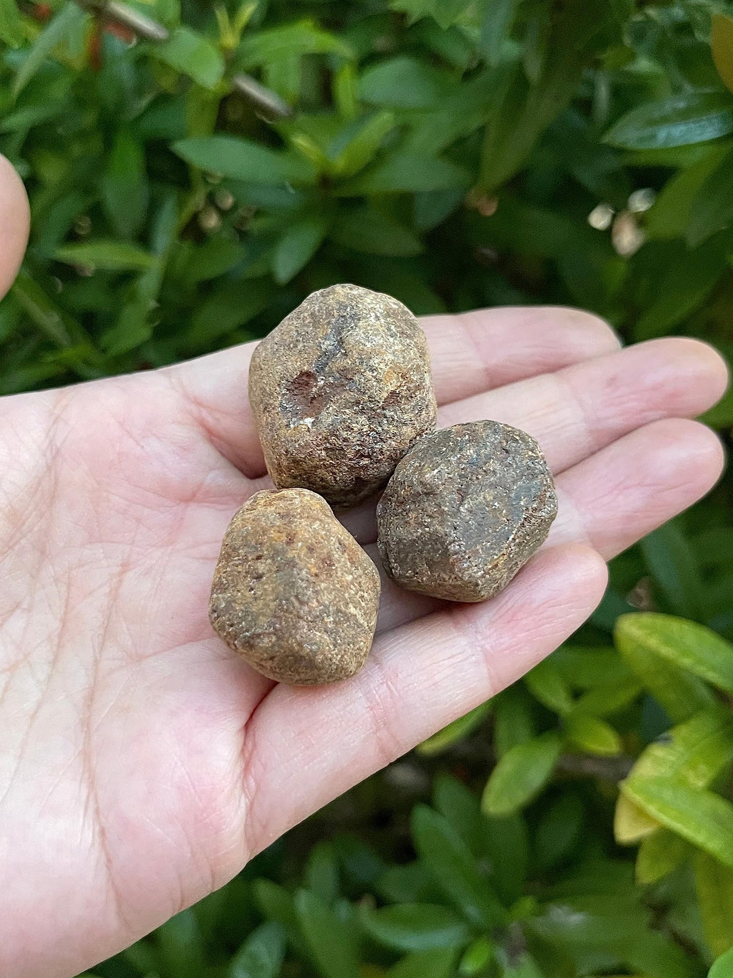 GAF TREASURES Wholesale Raw Garnet Crystals, Natural Garnet Stone, Natural Rough Garnet Crystals, Garnet Rough, Garnet Healing Crystals (Garnet, 0.25 Pound)