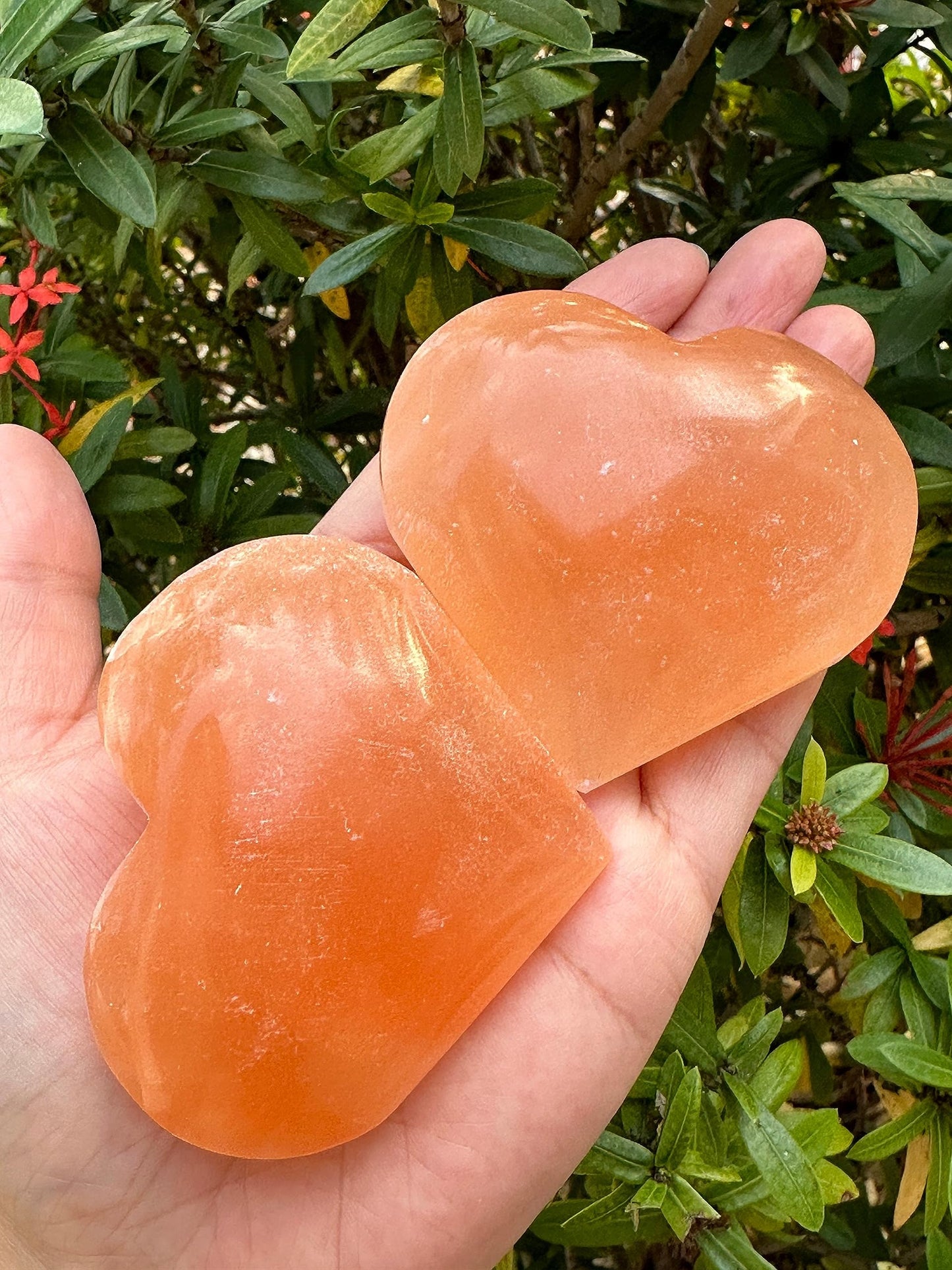 Orange Selenite Gemstone Hearts, Polished Orange Selenite Puffy Hearts, Orange Selenite Crystal Palm Stone, Orange Selenite Healing Crystal Hearts (1 Heart)