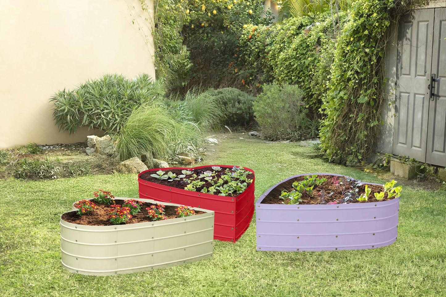 Plant & Plot Galvanized Raised Garden Beds Outdoor // Planter Raised Beds for Gardening, Vegetables, Flowers // Large Metal Garden Box (Lavender) // Tool-Free Assembly