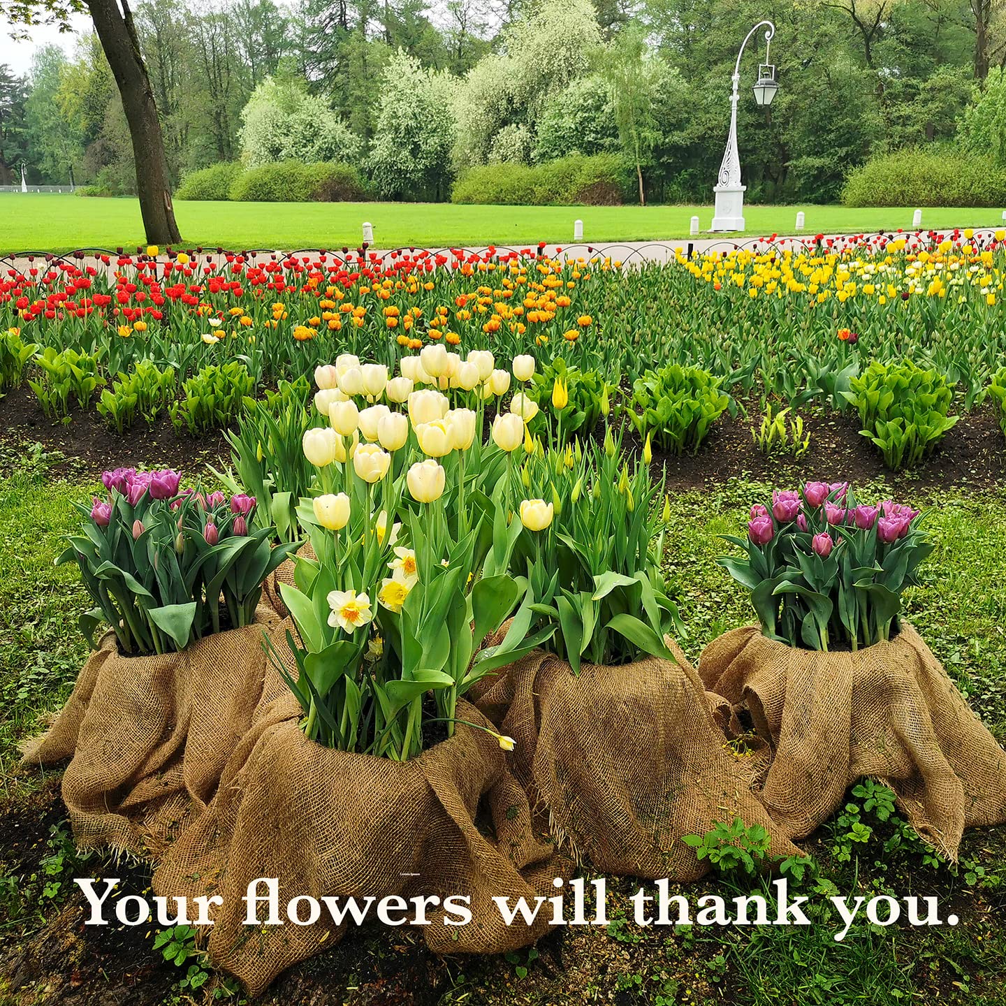 Burloptuous 40" x15 Feet Gardening Burlap Roll - Multipurpose Natural Burlap Fabric, High Density Jute Fiber Material for Decorations, Center Pieces for Home, Rustic Party Décor