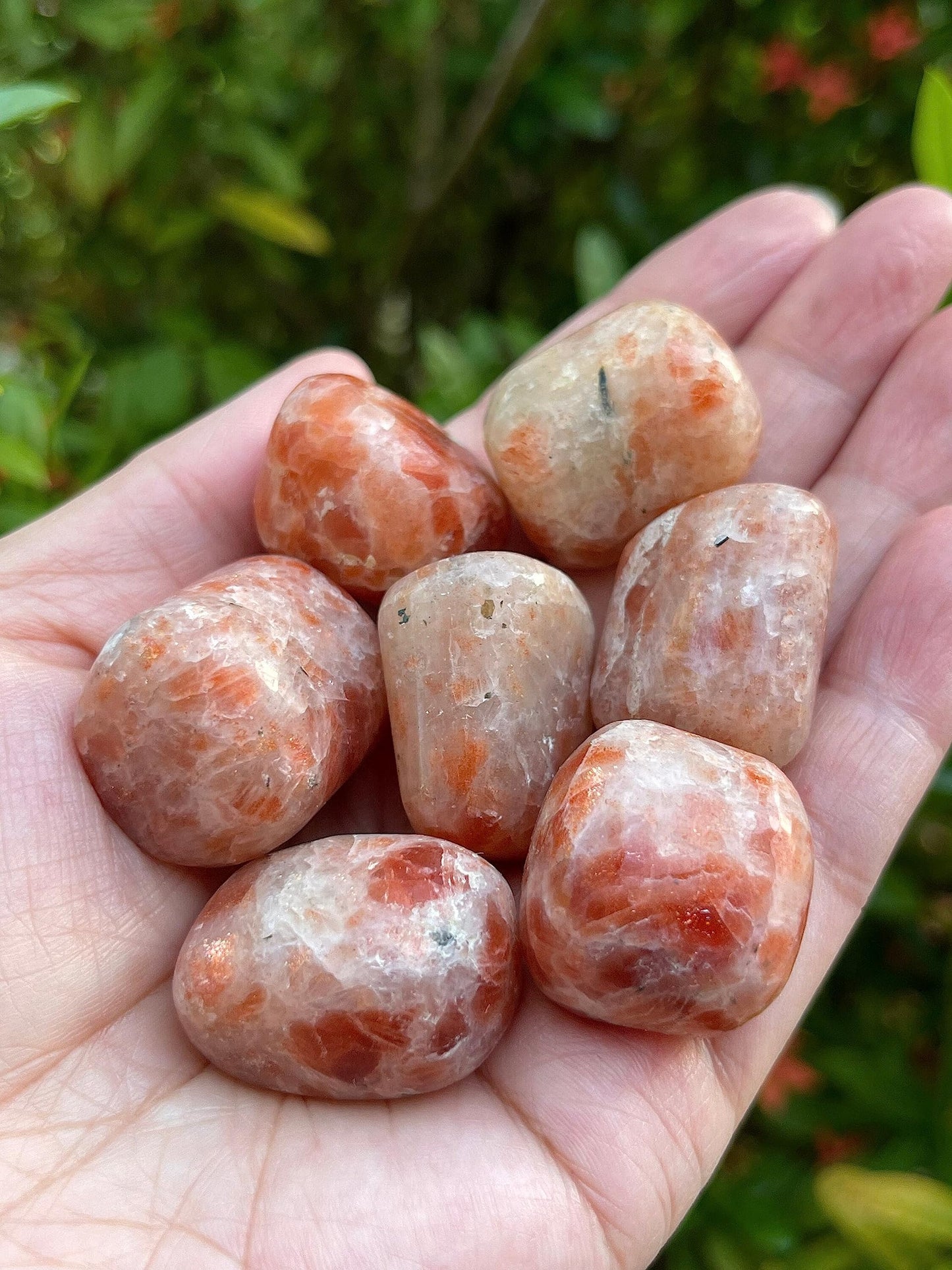 GAF TREASURES 5 Pcs Sunstone Tumbled Stones, Polished Sunstone Gemstone, Sunstone Healing Crystals (Sunstone)