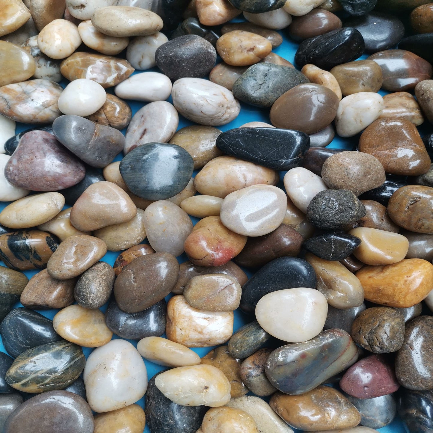 River Stones, Plants, Gardens, Landscapes, Succulents, Highly Polished Decorative Pebbles in Shapes and Sizes from 1-3 inches. (5.7LB, 1)