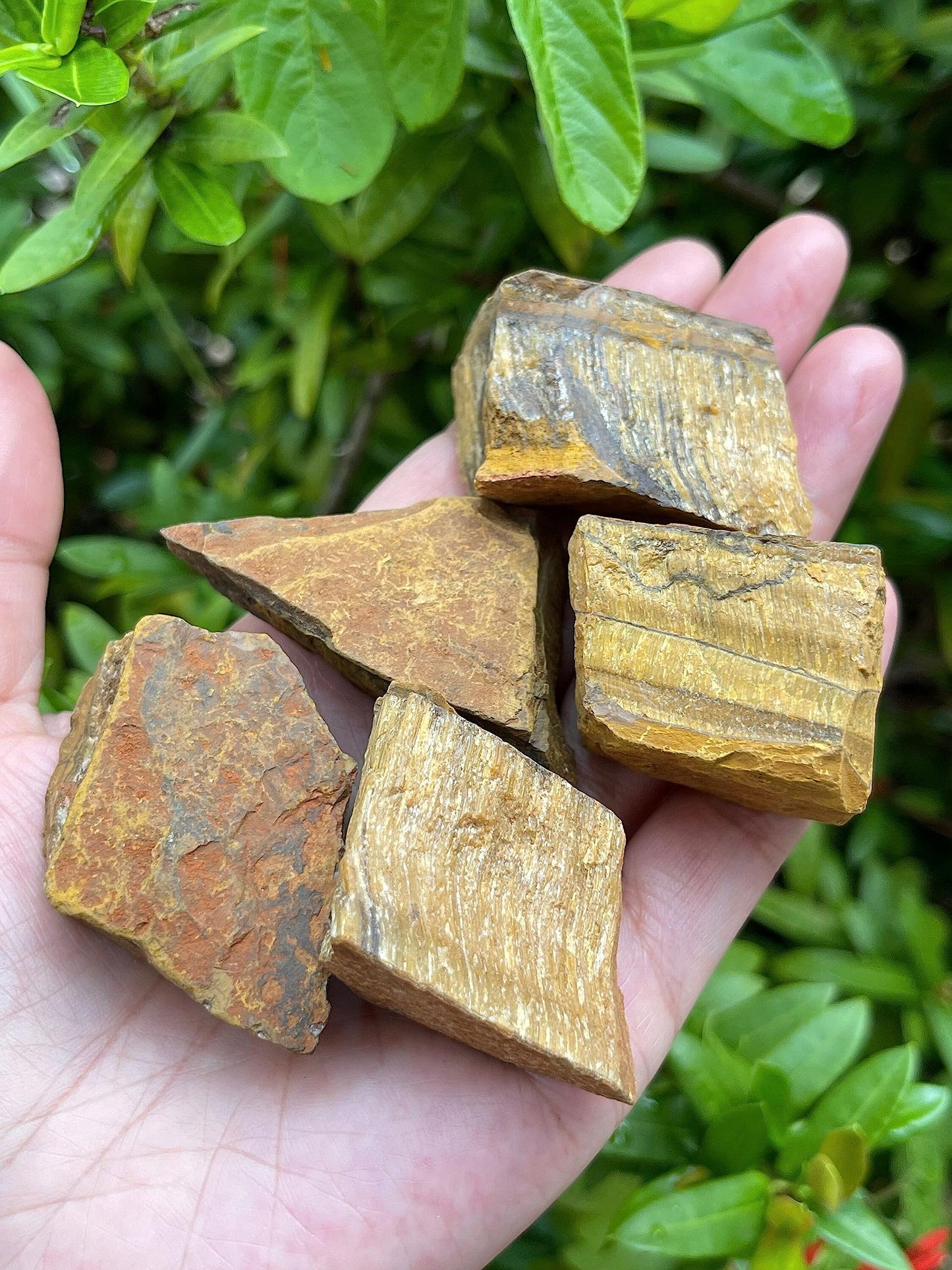 GAF TREASURES Wholesale Raw Tiger Eye Crystals, Natural Tiger Eye Stone, Natural Rough Tiger Eye Crystals, Tiger Eye Rough, Tiger Eye Healing Crystals (Tiger Eye, 0.5 Pound)