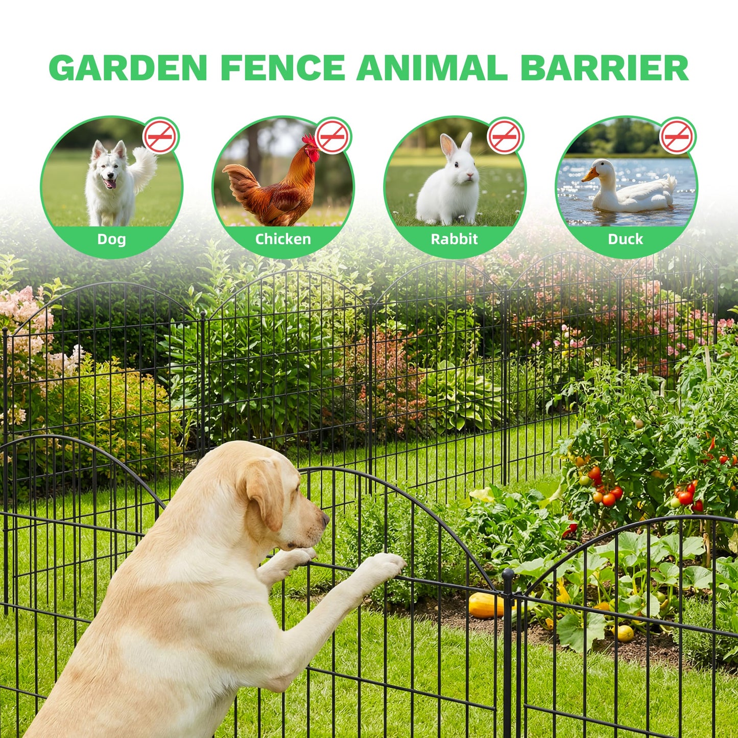 Toolterritary 10 Panels Arched No Dig Decorative Garden Fence with Gate, 40in(H) x 25.0ft(L) Dog Fence Outdoor for Yard, Rustproof Metal Garden Fence Animal Barrier for Dogs, Rabbits & Patio