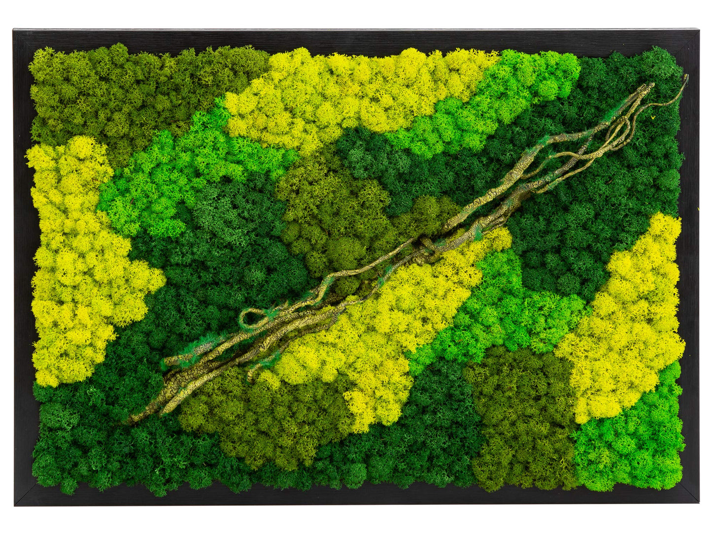 LVZHIHUAN Moss Wall decor Real Preserved Moss No Maintenance Required Eco Natural Green Wall Art Moss Frame Living Plants Vertical Garden 19.7 x13.8inch,Black Frame