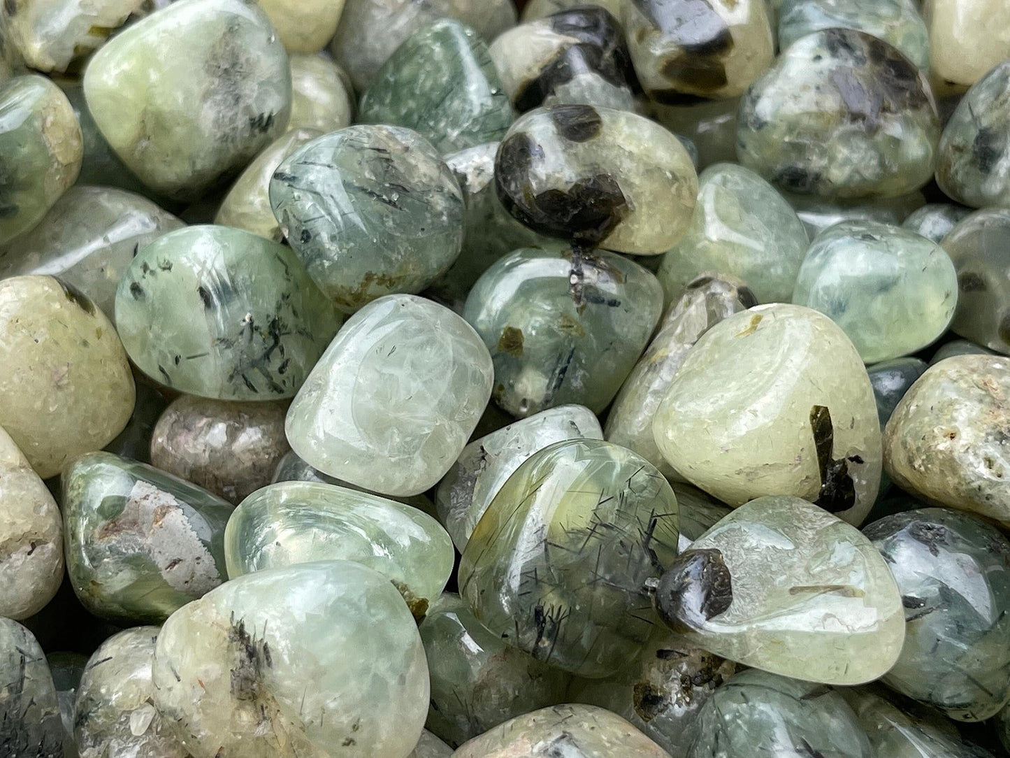 GAF TREASURES 5 Pcs Prehnite with Rutile Tumbled Stones, Polished Natural Prehnite with Rutile Gemstone, Prehnite with Rutile Healing Crystals (Prehnite with Rutile)
