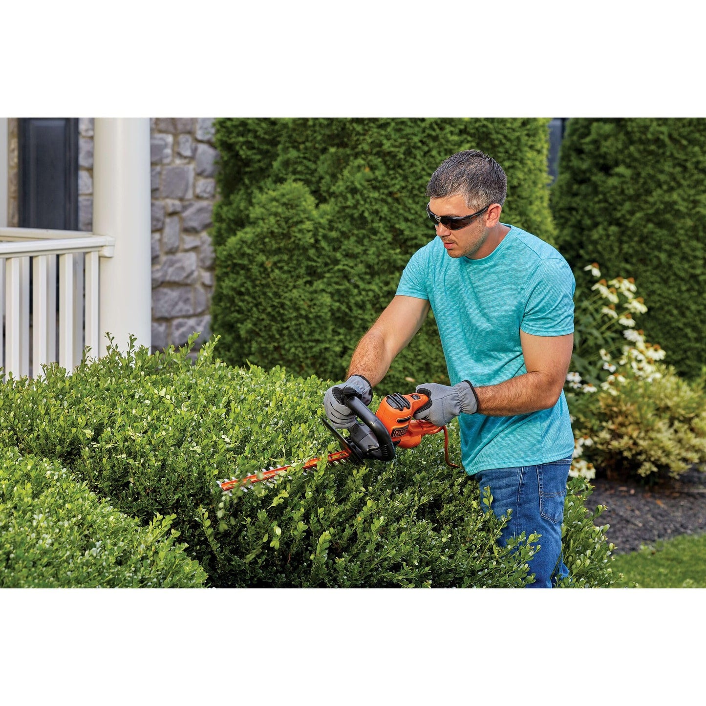 BLACK+DECKER Electric Hedge Trimmer, 16-Inch 3.0 Amp Compact Corded Power Hedge Trimmer (BEHT100)
