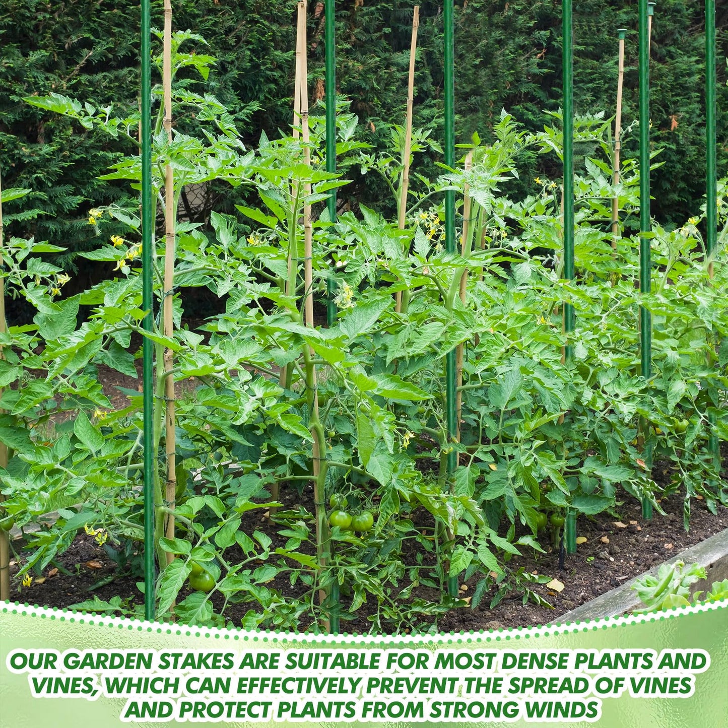 SiliFine Garden Stakes Plant Stakes Tomato Stake Plant Support Garden Stick Bulk Fence Steel Stick Support for Growing Climbing Gardening Fences Poles(200 Pcs,11mm X 5 ft)