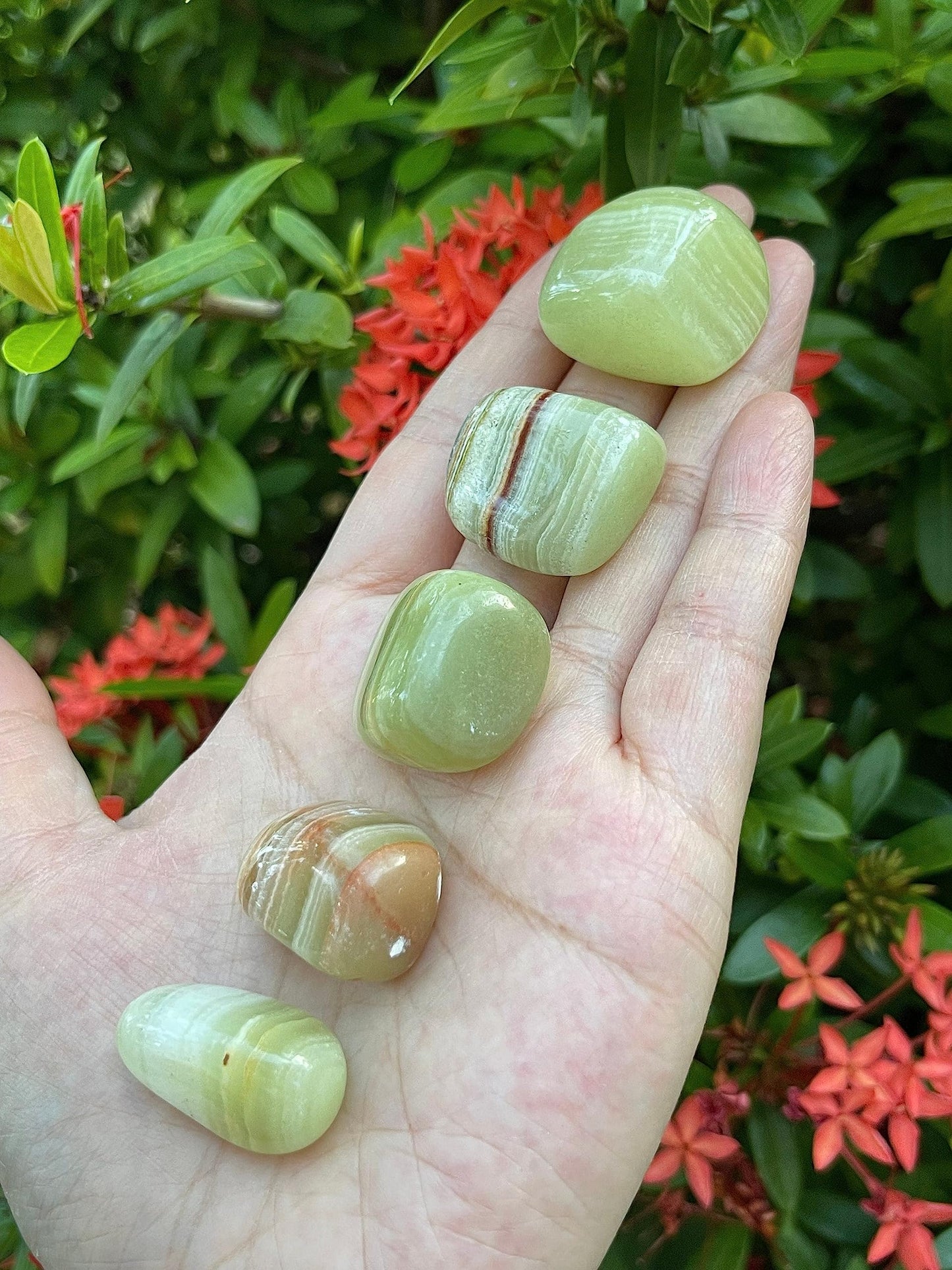 GAF TREASURES 5 Pcs Green Onyx Tumbled Stones, Polished Green Onyx Gemstone, Green Onyx Healing Crystals (Green Onyx)