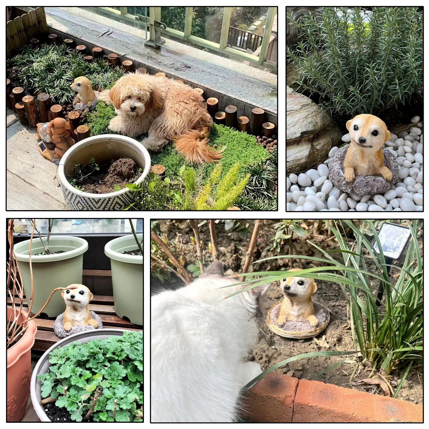 BLLTLLW Meerkat Statue Garden Decor Lawn Animal Sculpture Ourdoor Decoration Funny Yard Ornaments Resin Figurine for Garden or Home 5.3inch