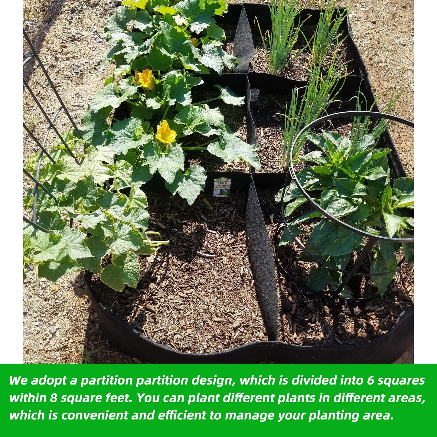 CJGQ Fabric Raised Garden Bed 4x2x1ft Garden Grow Bed Bags for Growing Herbs, Flowers and Vegetables 55 Gallon