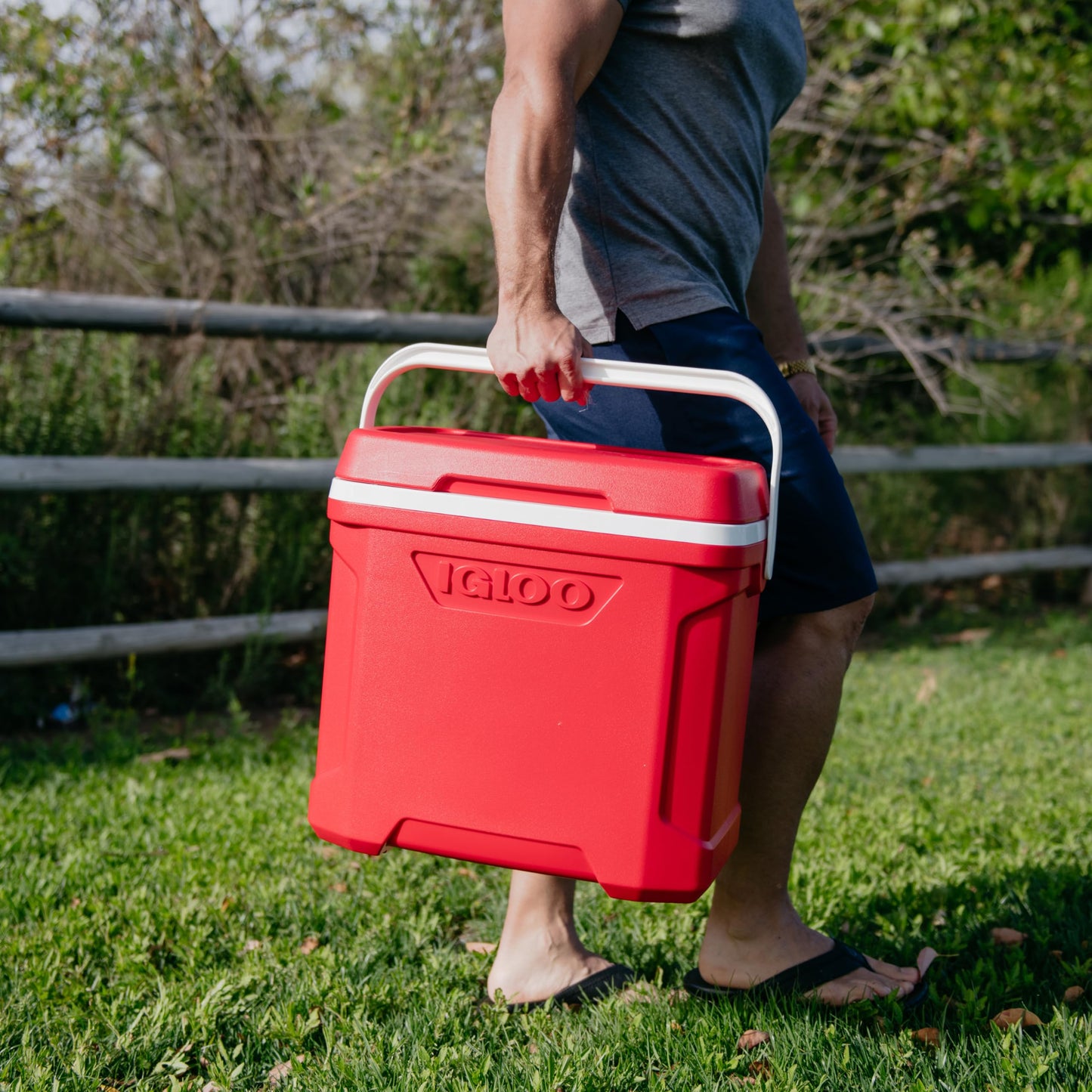 Igloo Profile II 16 Quart, red