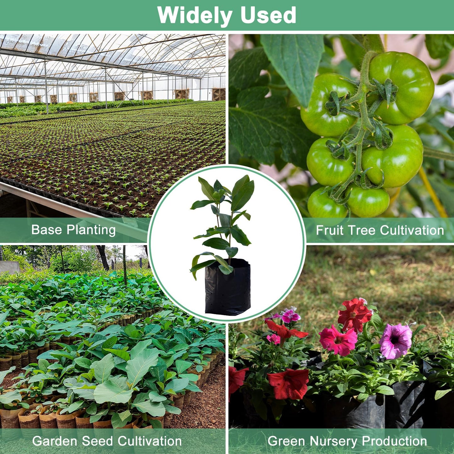M METERXITY 200-Pack Nursery Growing Bags, 6.7" x 9.8" Thicken Plastic Nursery Bags, Gardening Seed Plant Bags for Potato/Flower/Tomato/Plant Starts/Home Gardening Supplies [Black]