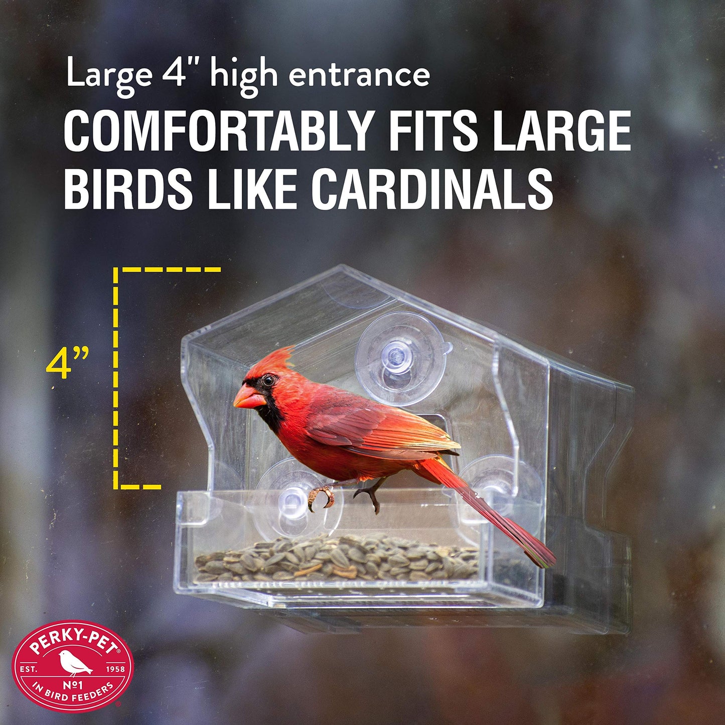 Perky-Pet Clear Outdoor Window Bird Feeder with Strong Suction Cups – 1/2 Lb Seed Capacity - Perky Pet 345 - Entertaining Bird Feeding - Watch Birds Eat Seeds