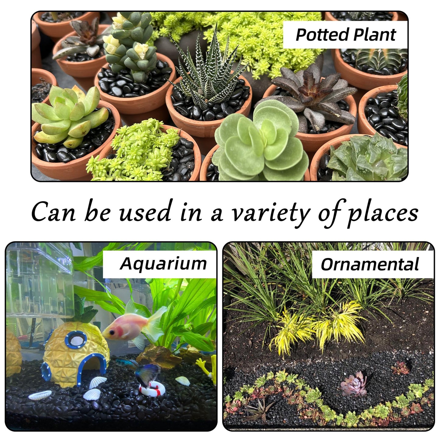 7lb 1/4" Small Pebbles Black for Plants,Potting,Succulents Aquarium Fish Tank Vases Decorative Garden Polished Gravel Rocks Stones