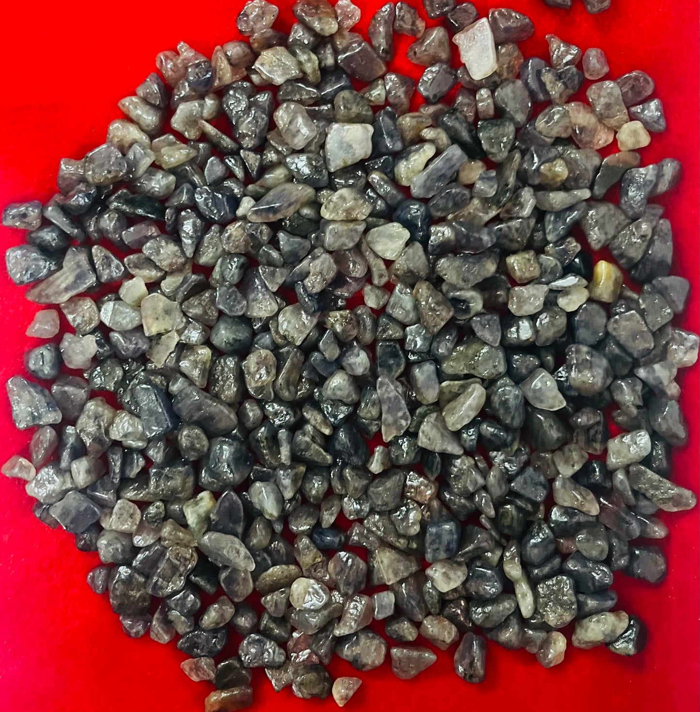 Indian Consigners Iolite Tumbled Stone Chips – 100g Natural Crushed Healing Crystals for Meditation, Sleep, Energy, Spiritual Growth & Decor