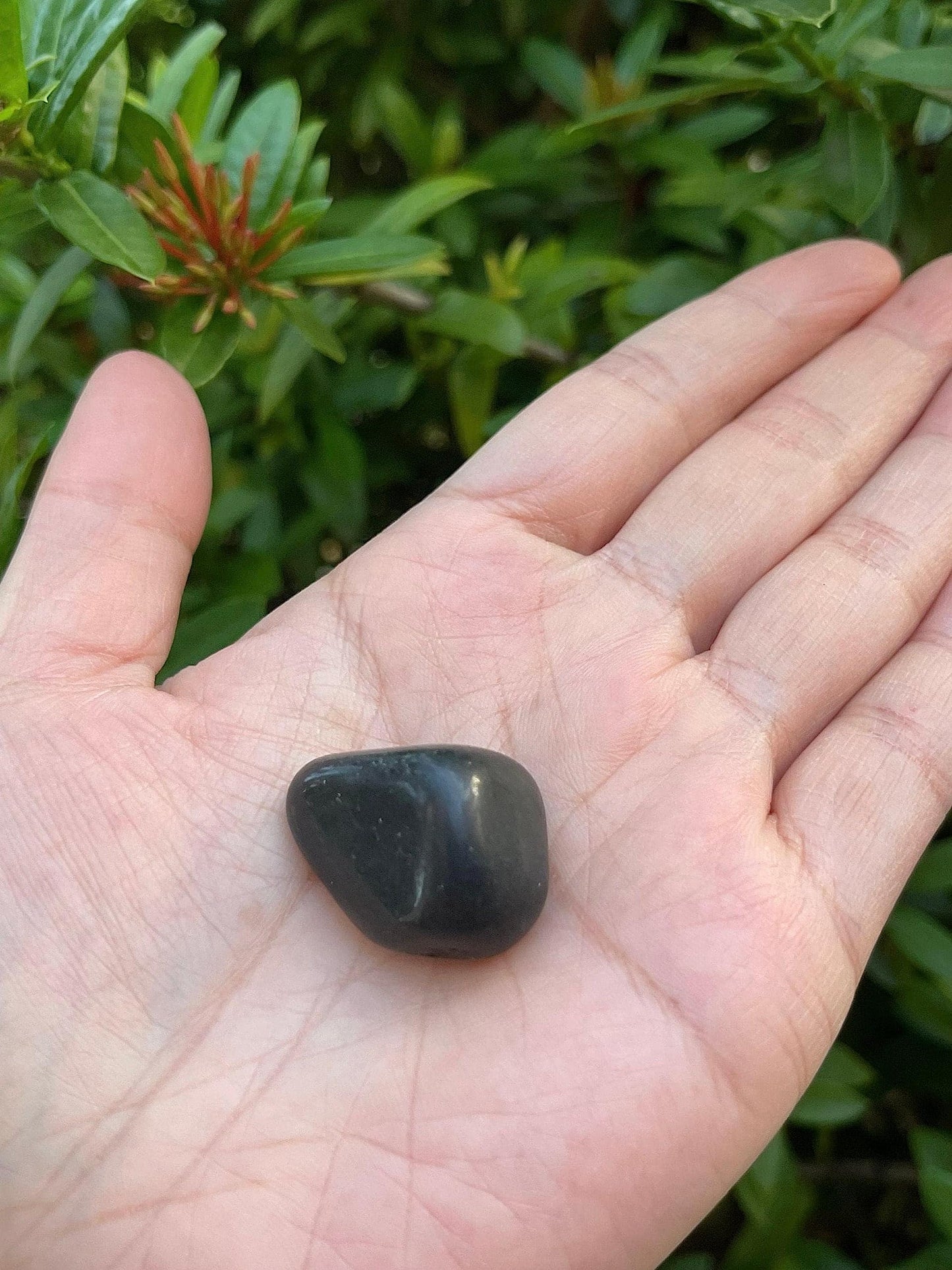 GAF TREASURES 5 Pcs Black Tourmaline Tumbled Stones, Polished Natural Black Tourmaline Gemstone, Black Tourmaline Healing Crystals