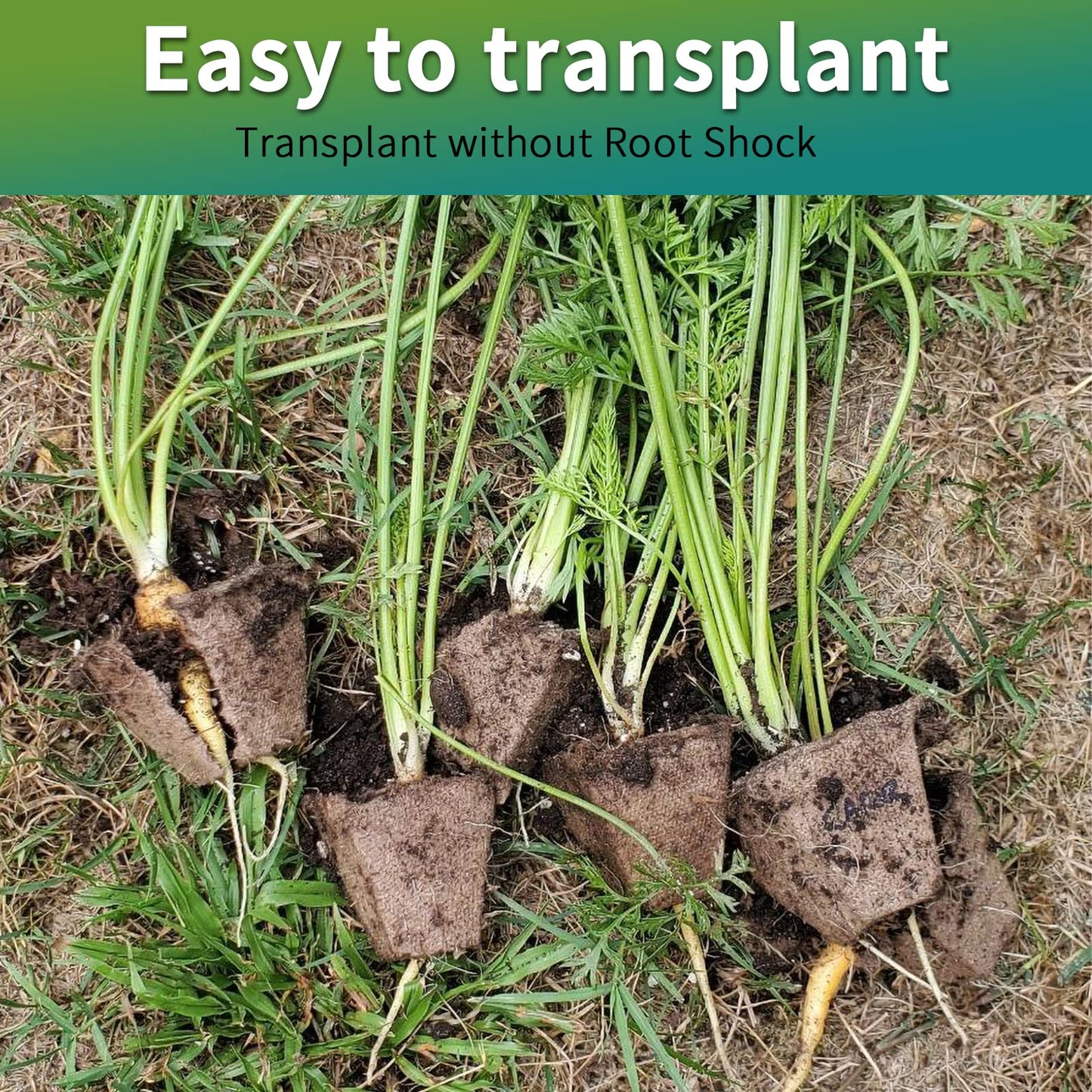 TCBWFY 320Cells Seedling Start Trays,20 Pack Peat Pots Seedling Pots Biodegradable,Seedling Starter Kit,Organic Germination Plant Starter Trays