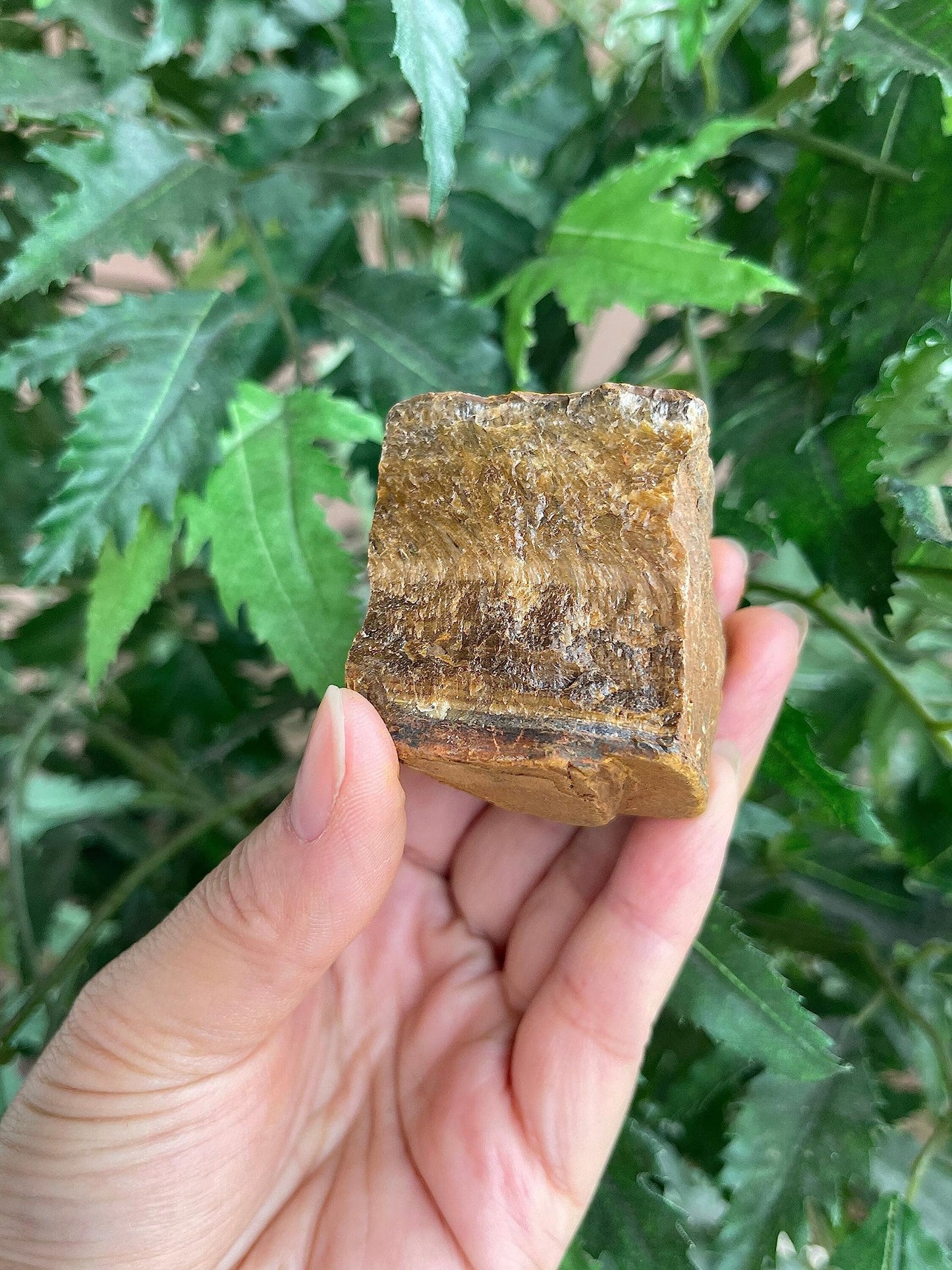 GAF TREASURES Wholesale Raw Tiger Eye Crystals, Natural Tiger Eye Stone, Natural Rough Tiger Eye Crystals, Tiger Eye Rough, Tiger Eye Healing Crystals (Tiger Eye, 0.5 Pound)