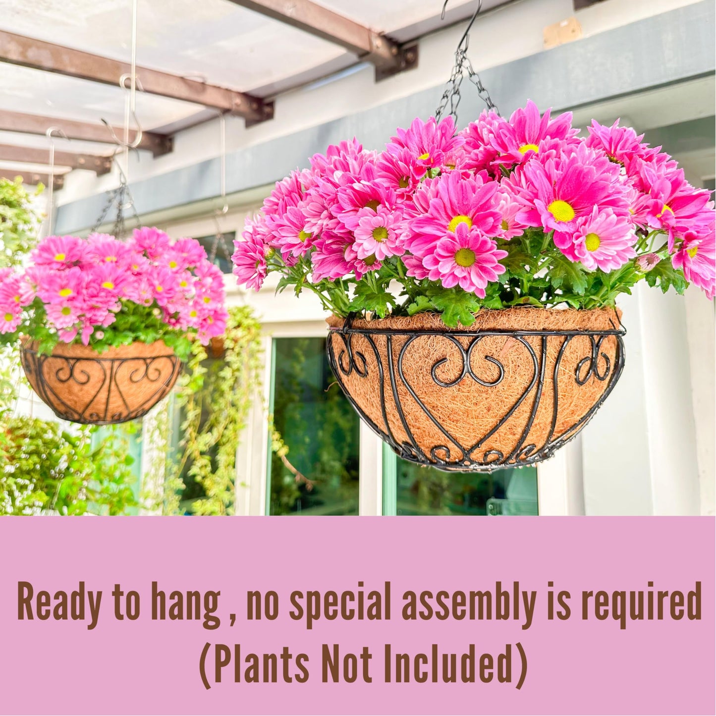 LaLaGreen Hanging Baskets for Plants (10 Inch, 2 Pack) Small Hanging Flower Pots with Coco Liner, Black Metal Wire Round Plant Holder with Hanger Hook Chain Outdoor Deck Patio Balcony Garden Decor