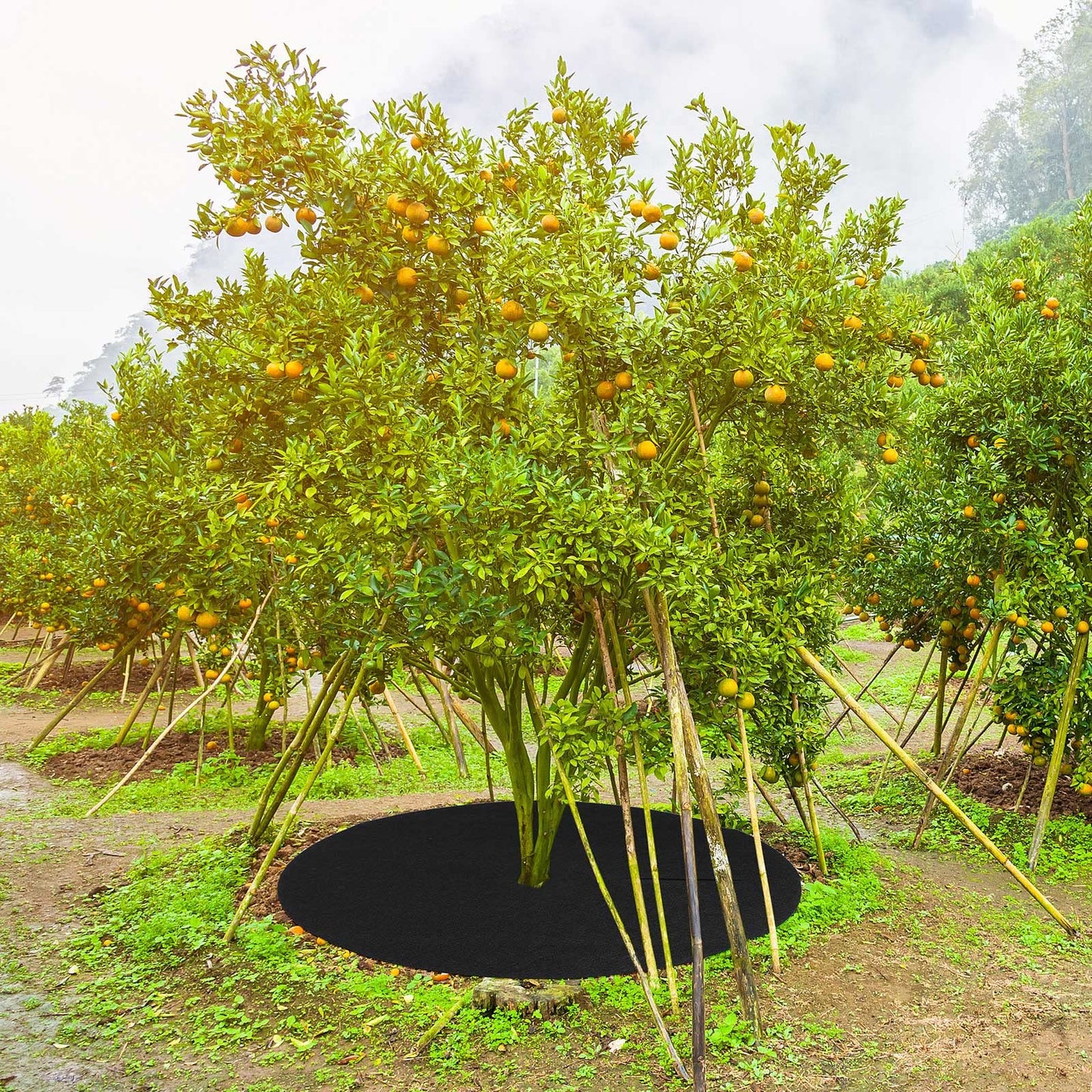 Shimeyao 16 Pcs 32. 2 Inch Non Woven Tree Mulch Ring Round Tree Weed Barrier Mat Reusable Landscape Protector Base Barrier Fabric for Weed Root Protection (Black)