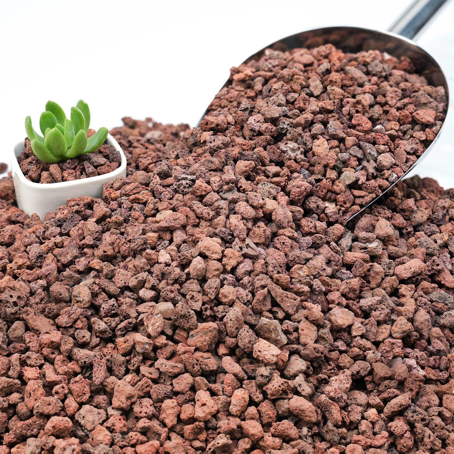 NUPICK 12lb Red Lava Rocks for Plants, 3/8" Succulent Potting Soil Amendments, Decorative Lava Rocks for Fire Pit, Volcanic Gravel for Aquarium, Natural Pebbles Pumice for Cactus, Vase, Top Dressing