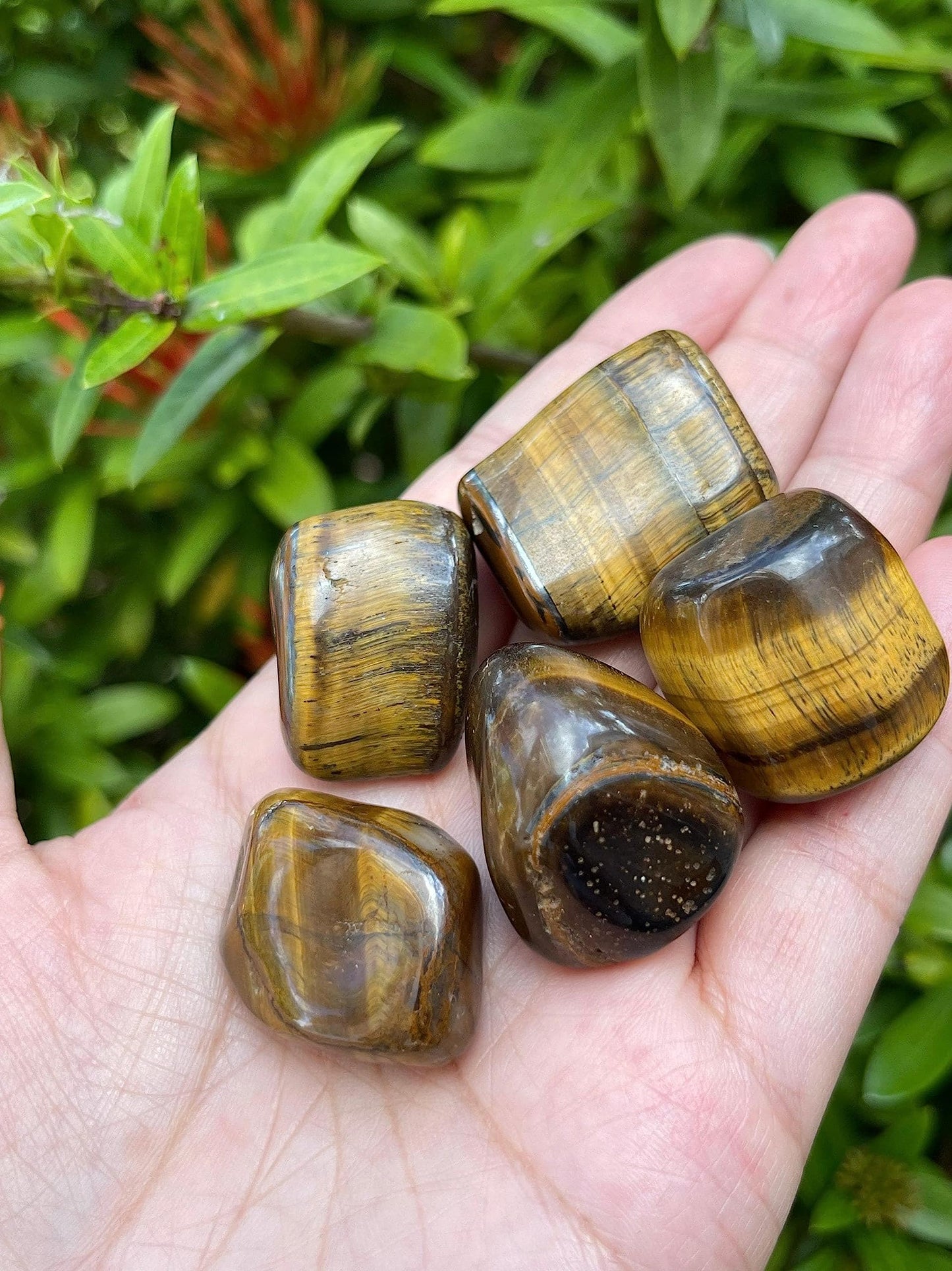 GAF TREASURES 5 Pcs Tiger Eye Tumbled Stones, Polished Natural Tiger Eye Gemstone, Tiger Eye Healing Crystals (Tiger Eye)