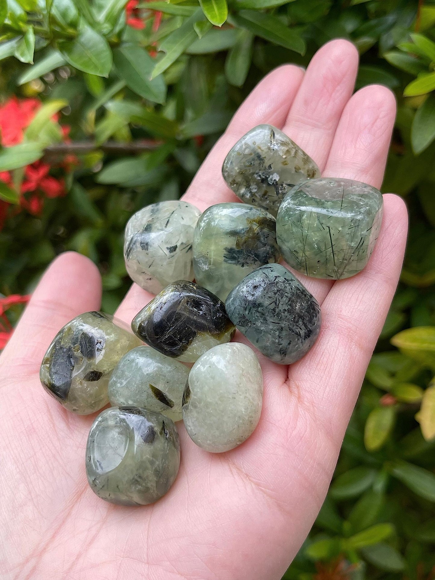 GAF TREASURES 5 Pcs Prehnite with Rutile Tumbled Stones, Polished Natural Prehnite with Rutile Gemstone, Prehnite with Rutile Healing Crystals (Prehnite with Rutile)