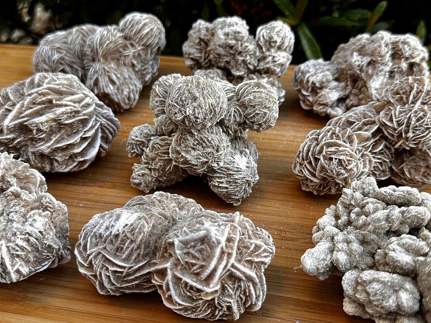 GAF TREASURES XL Raw Desert Rose, 3-4" Natural Rough Desert Rose, Desert Rose Rough, Desert Rose Healing Rough Crystal (Desert Rose, 0.5-1 lb)