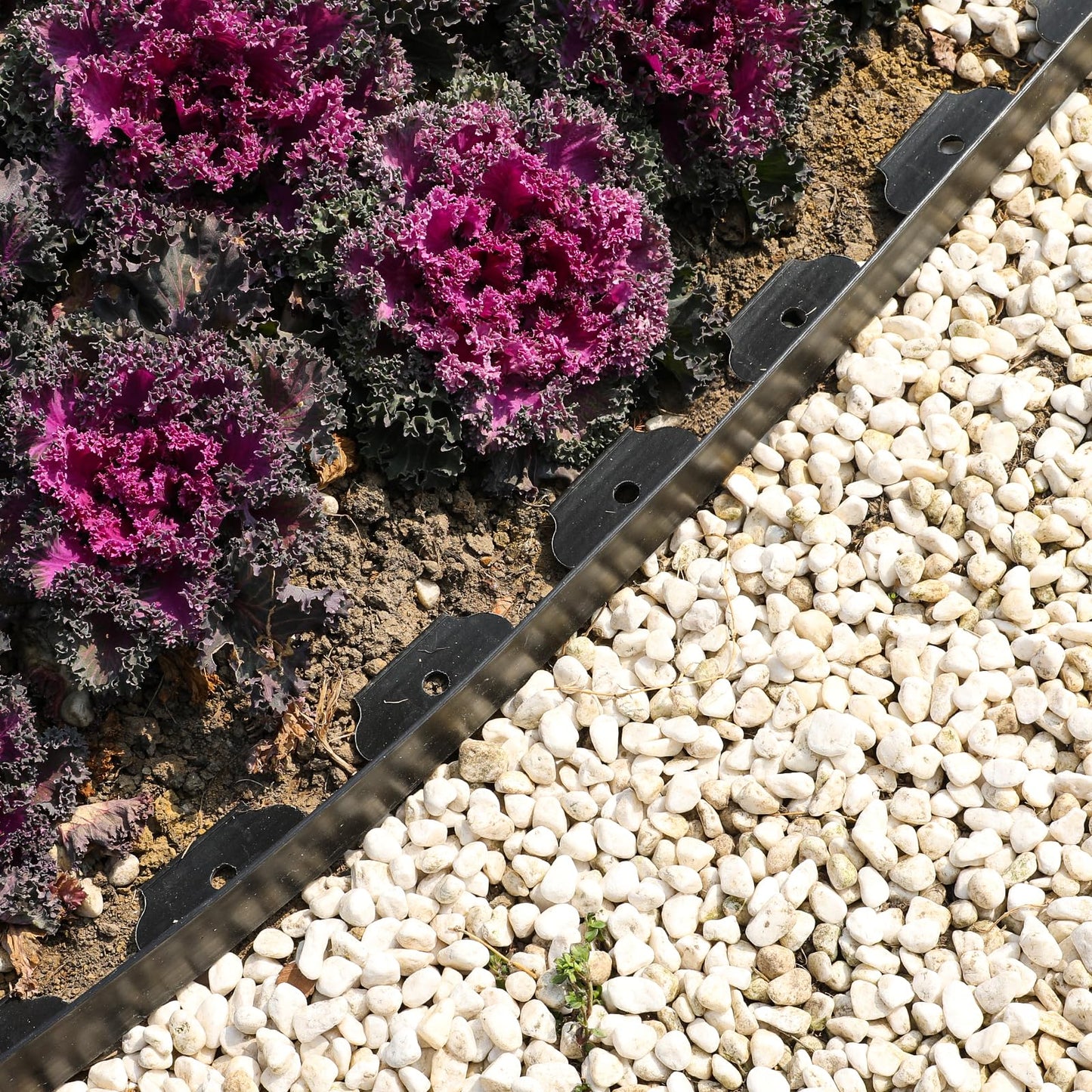 Hemikaki 1.5 Inch x 100FT Garden Edging Border, Plastic Edging for Landscaping with 120pcs Spikes
