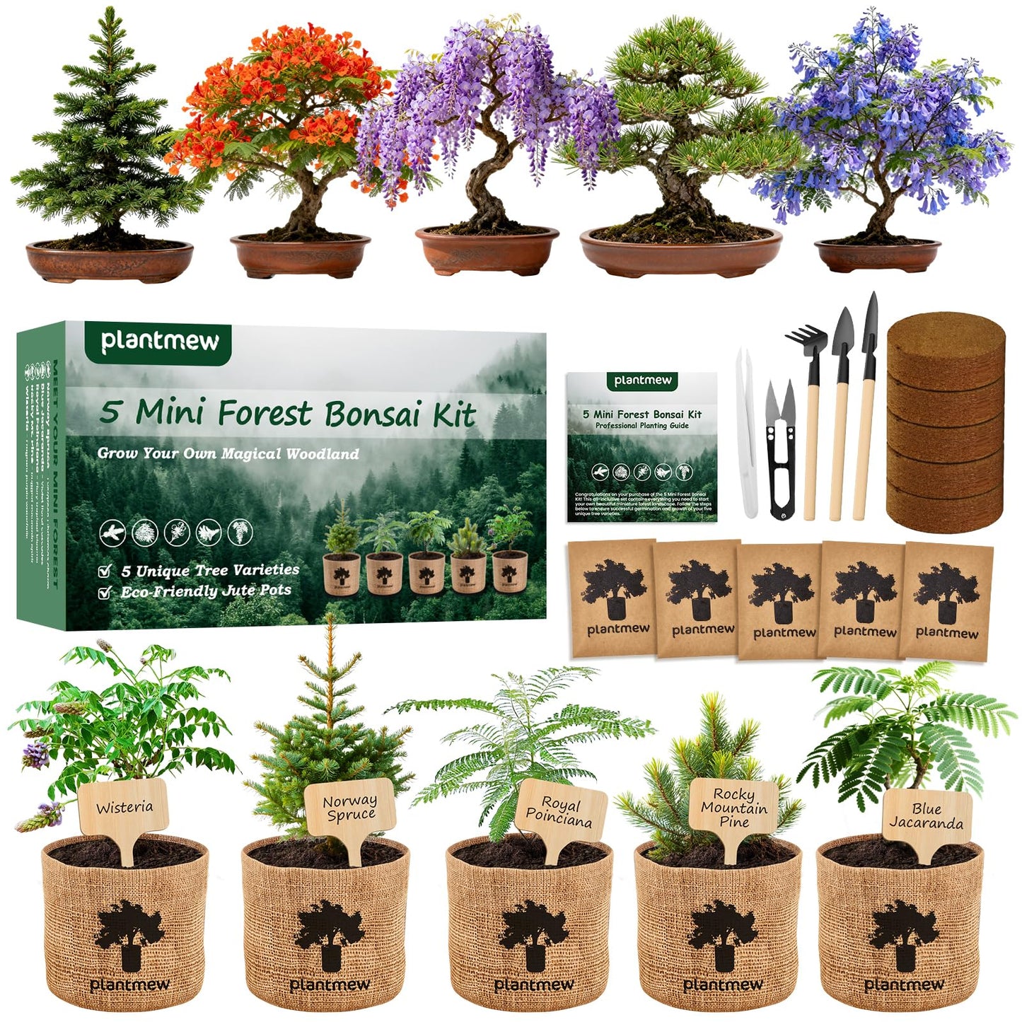 Christmas Gifts & Crafts for Adults - Bonsai Tree Starter Kit with 5 Unique Japanese Trees | Complete DIY Gardening Kit for Birthday | Gifts for Women, Men, Mom, Dad, Plant Lovers