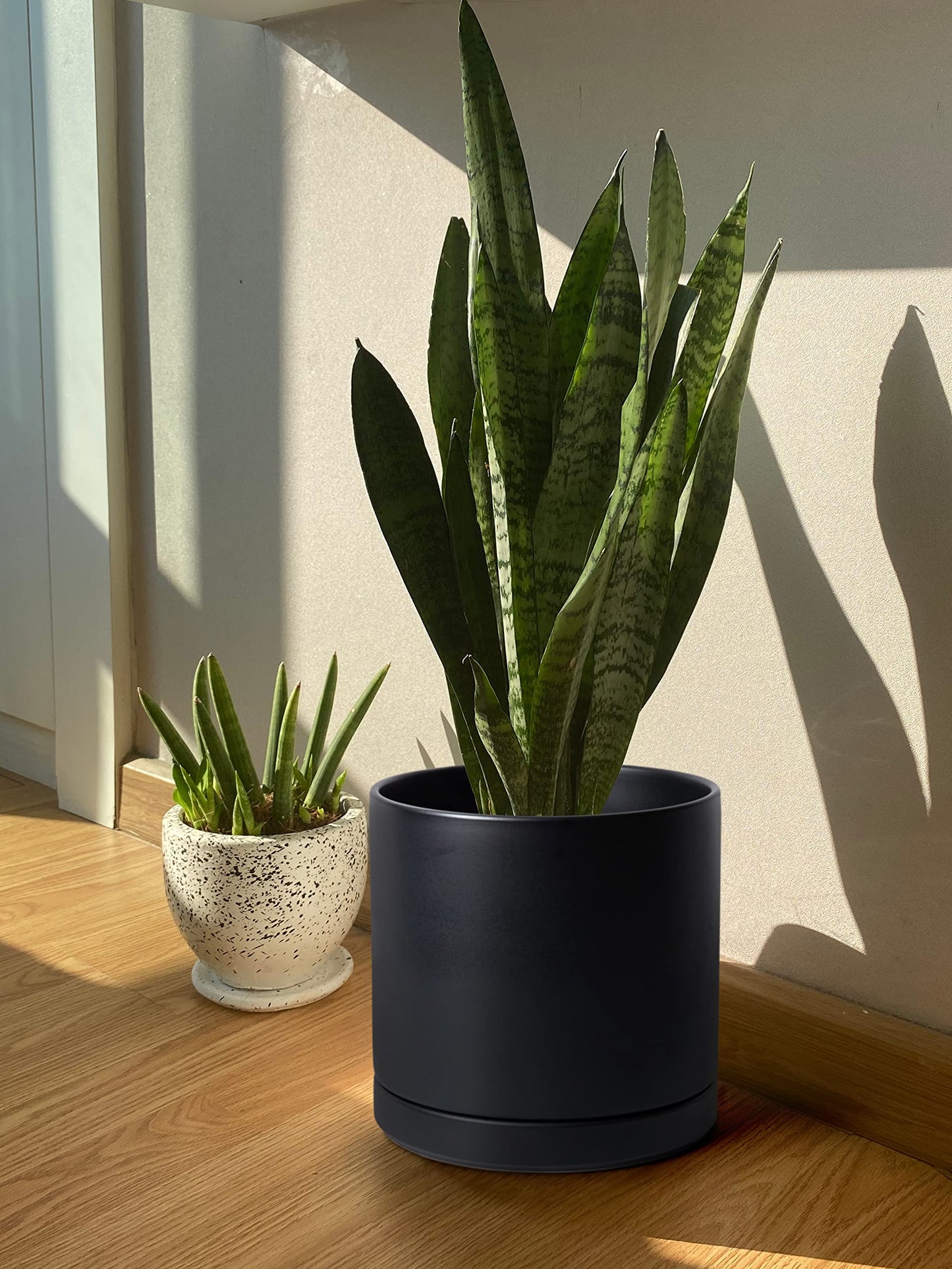 D'vine Dev 12 Inch Ceramic Planter Pot with Drainage Hole and Saucer, Indoor Cylinder Round Planter Pot, Black, 94-O-F-2